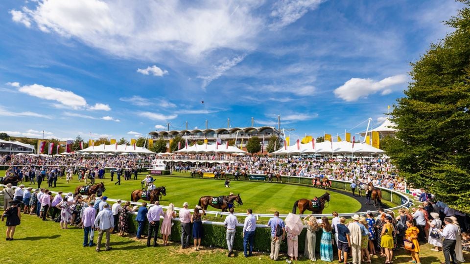 Horses parade before the Unibet Stewards' Cup Handicap Stakes on the fifth and final day of the Qatar Goodwood Festival 2018, QGF..Picture date: Saturday August 4, 2018..Photograph by Christopher Ison ©.07544044177.chris@christopherison.com.www.christopherison.com