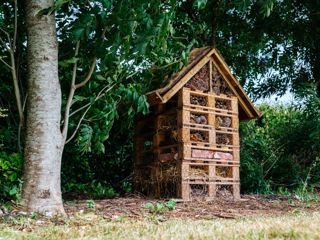 Website-GoodwoodBugHotel_JaysonFong_003.jpg