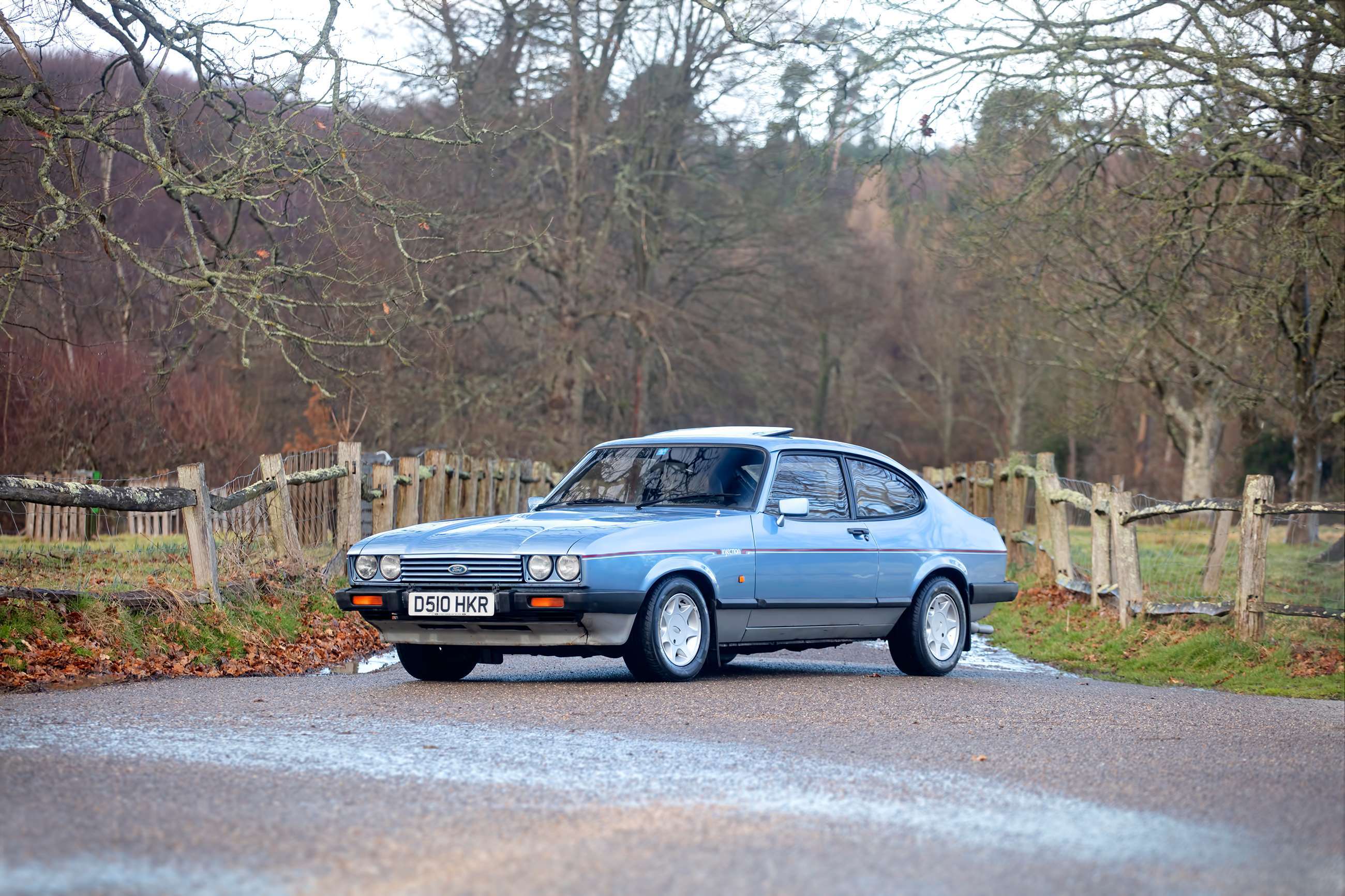 bonhams-members-meeting-2019-ford-capris-mkiii-2.8i-1988-goodwood-28032019.jpg