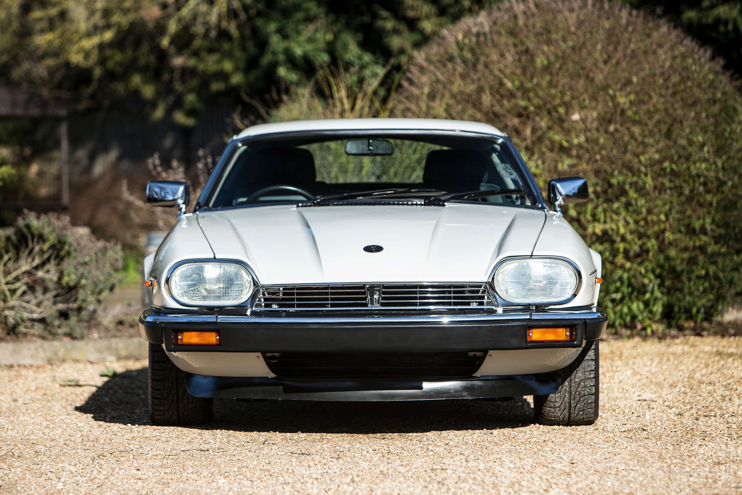 bonhams-members-meeting-2019-jaguar-xj-s-3.6-1988-goodwood-28032019.jpg