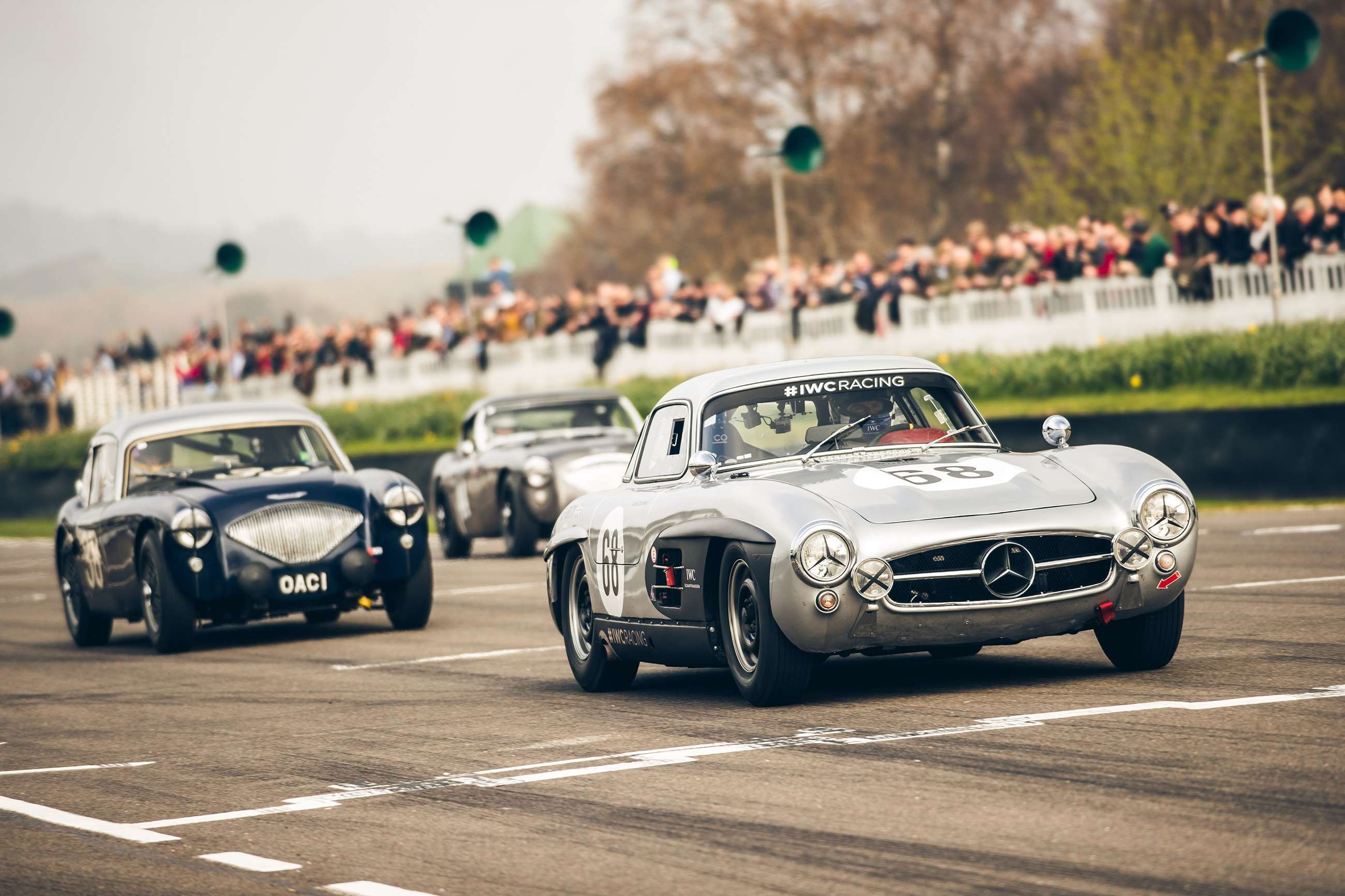 77mm-david-coulthard-iwc-mercedes-300sl-gullwing-tom-shaxson-goodwood-07042019.jpg