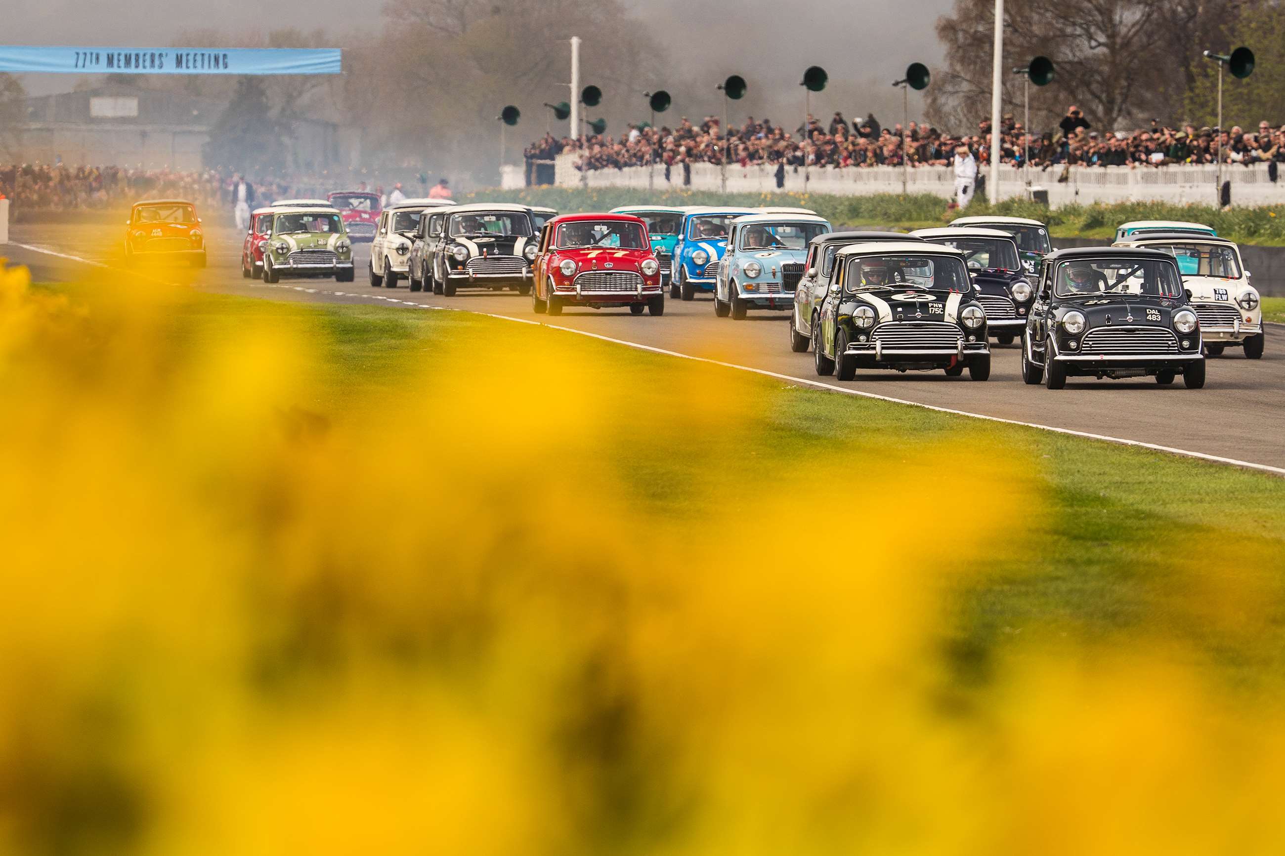 77mm-betty-richmond-trophy-final-start-mini-drew-gibson-goodwood-15042019.jpg