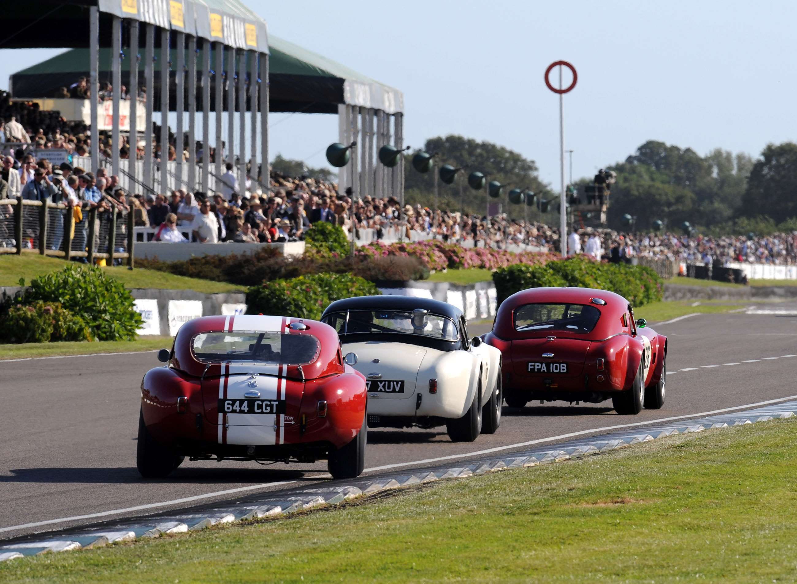 revival-2012-shelby-cup-ac-cobra-bloxham-lat-mi-goodwood-13092020.jpg