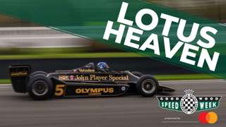 lotus-heaven-right.jpg