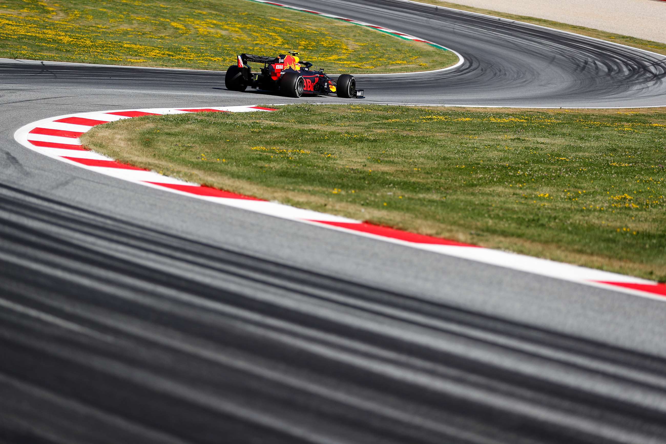 f1-2019-austria-pierre-gasly-red-bull-racing-rb15-steven-tee-motorsport-images-goodwood-01072019.jpg