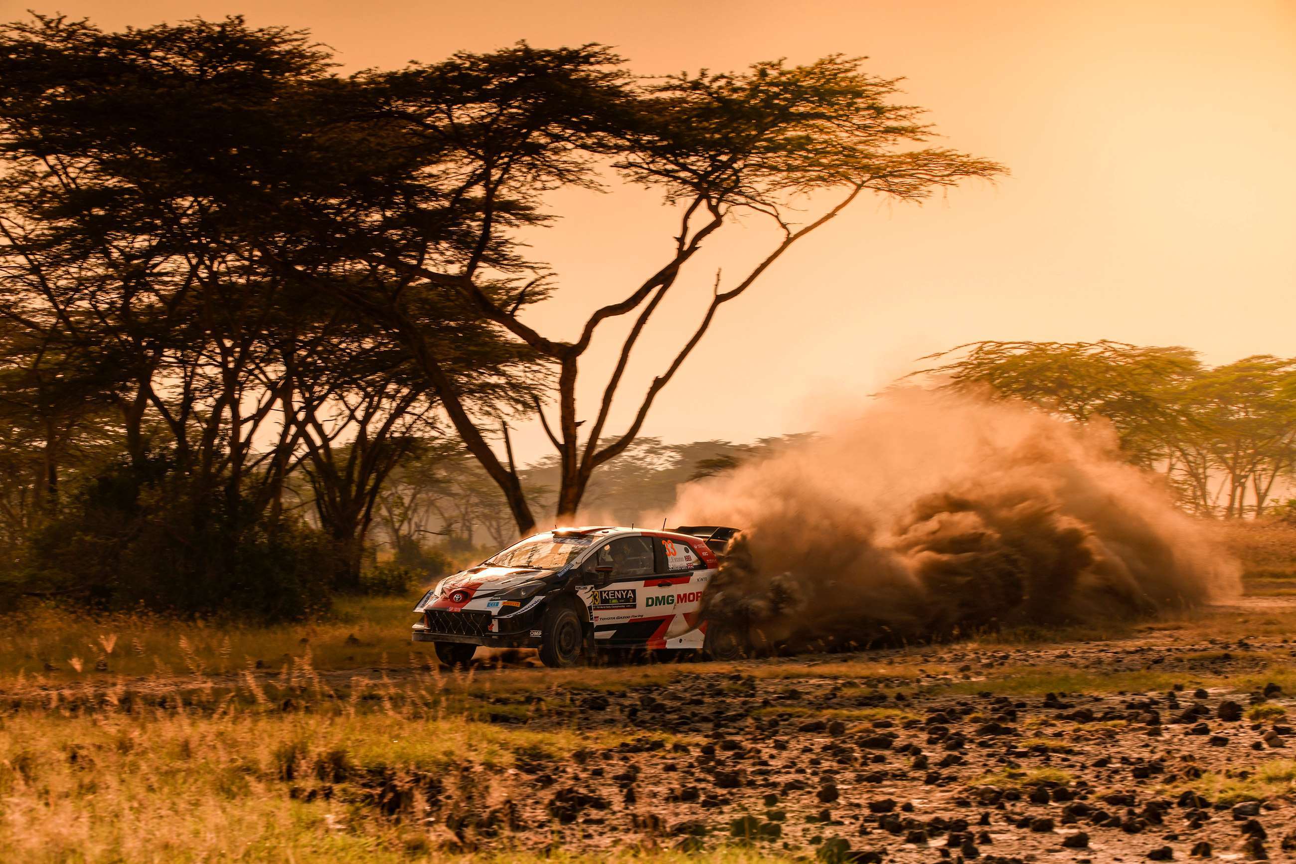 loeb-and-ogier-safari-rally-02.jpg