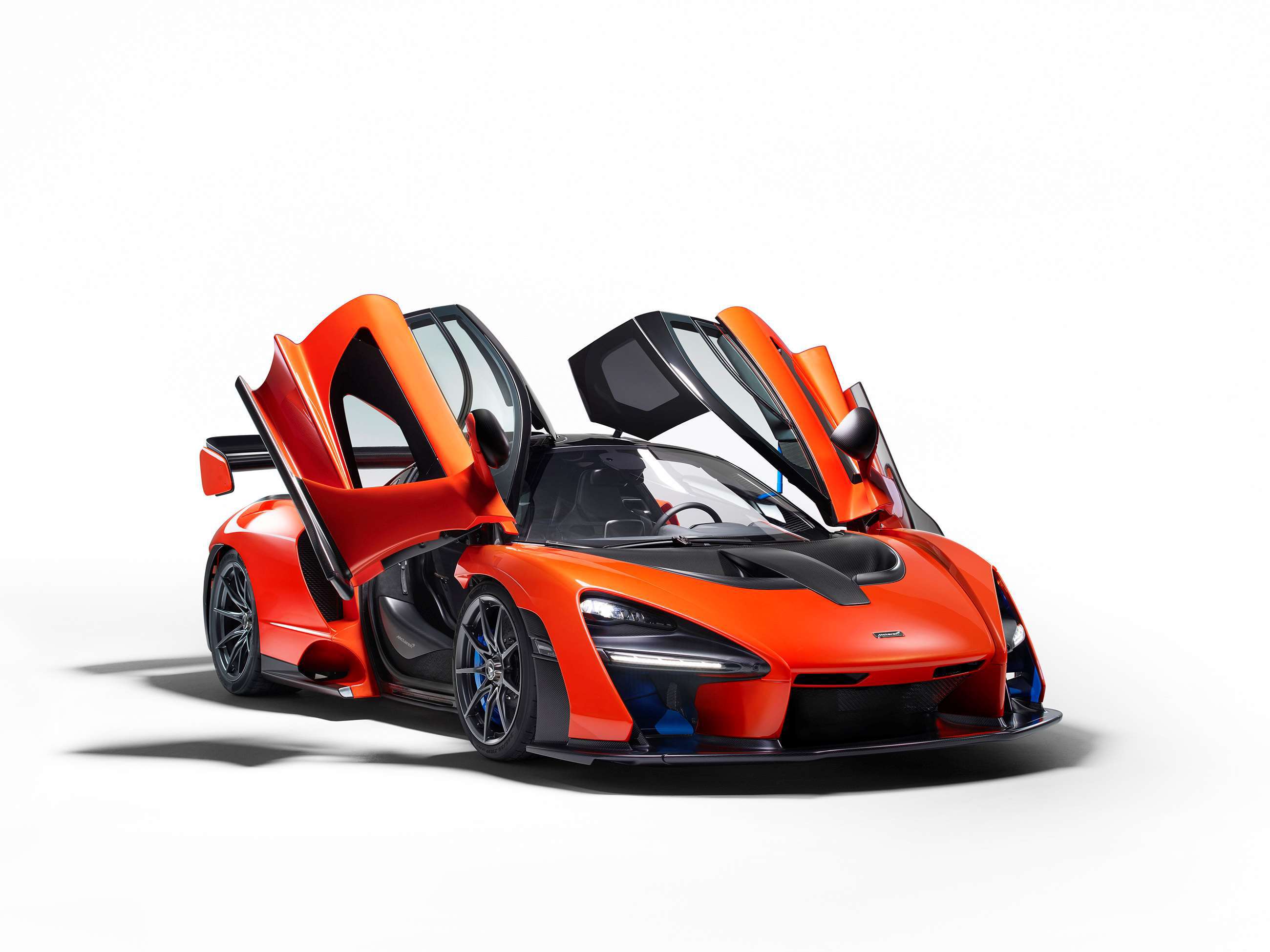 mclaren_senna_goodwood_08121706.jpg