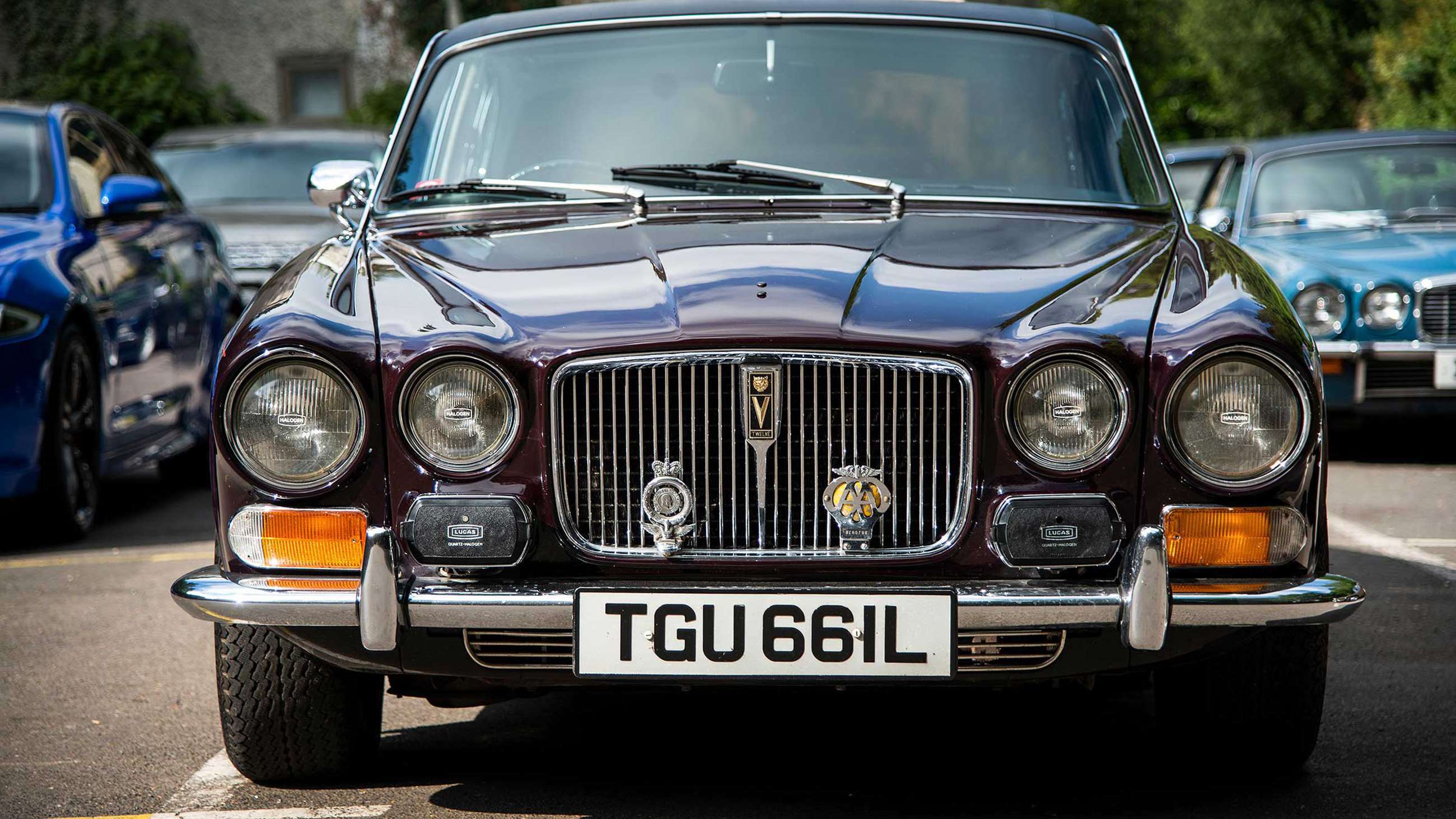 jaguar_xj_13081801.jpg