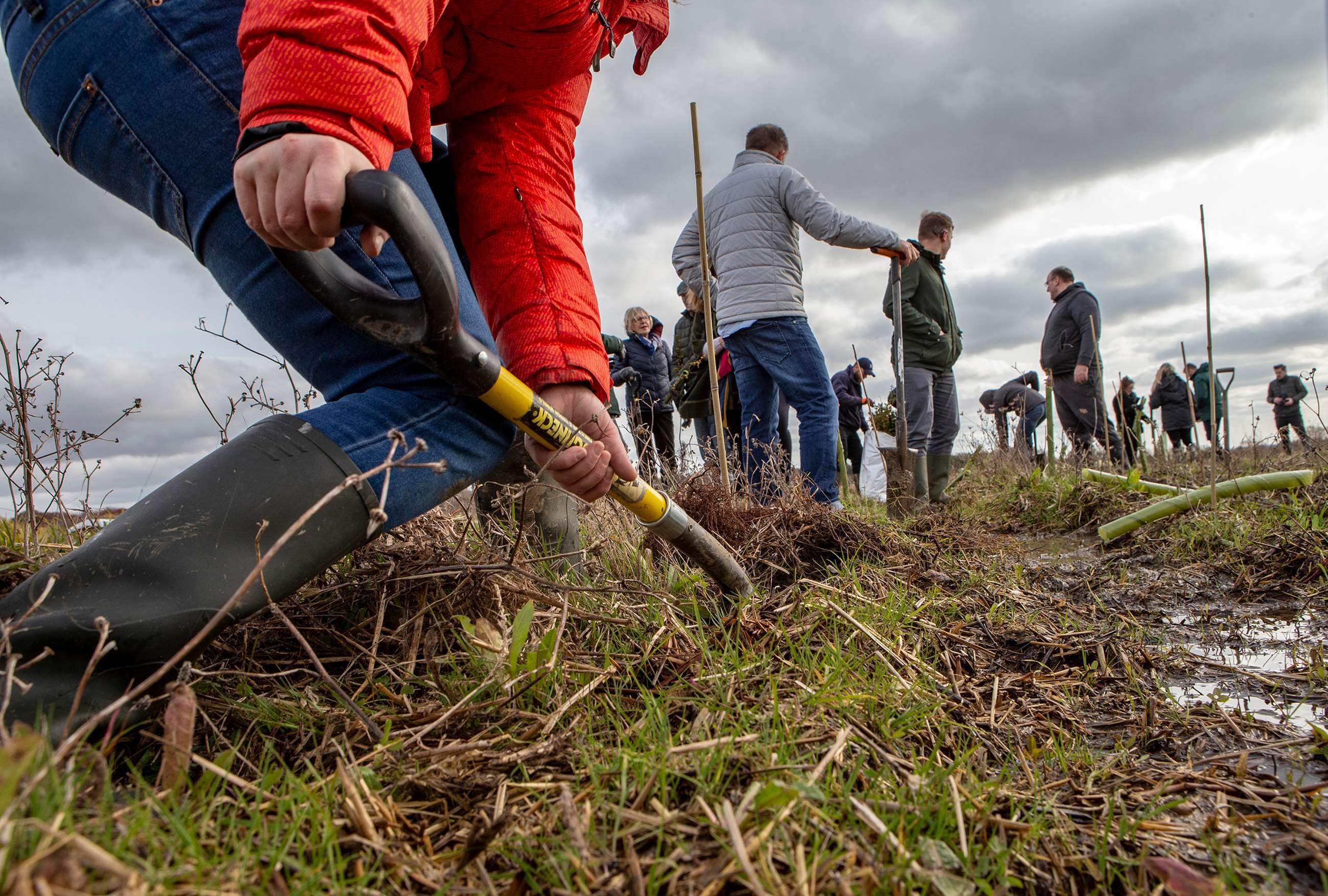 grr-november-highlights-goodwood-revival-sustainability-tree-planting-sustainability-tree-planting-goodwood-02122019-copy.jpg