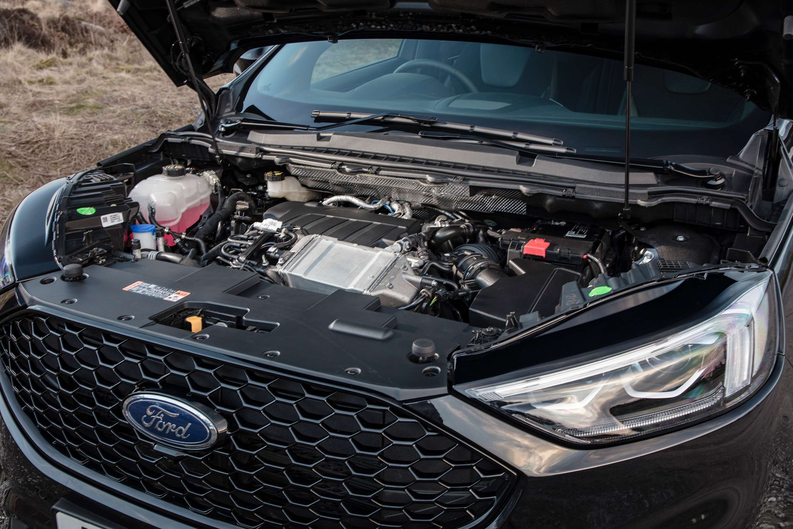 ford-edge-st-line-2019-engine-goodwood-21022019.jpg