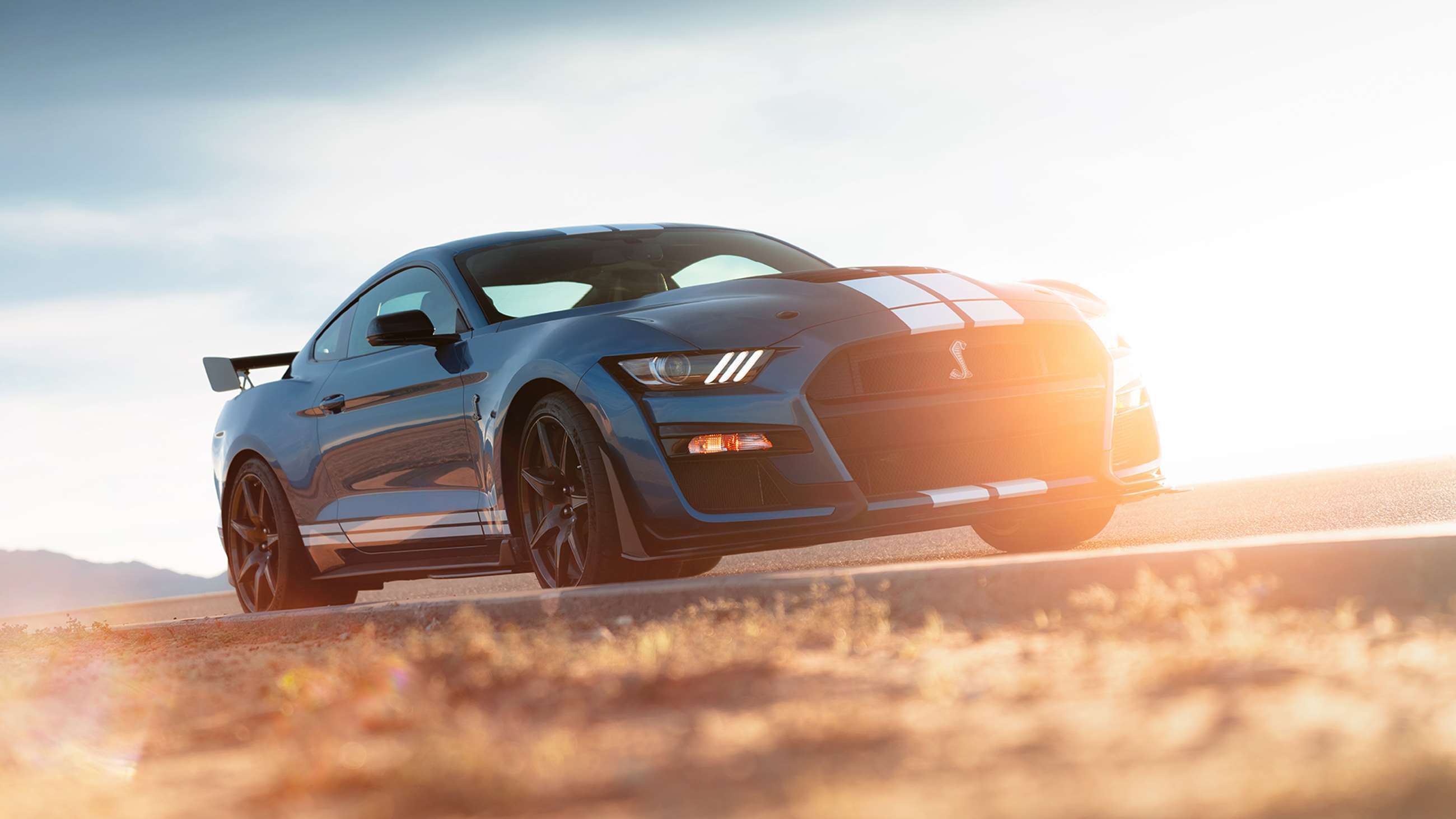 ford-mustang-shelby-gt500-handling-pack-goodwood-17012019.jpg