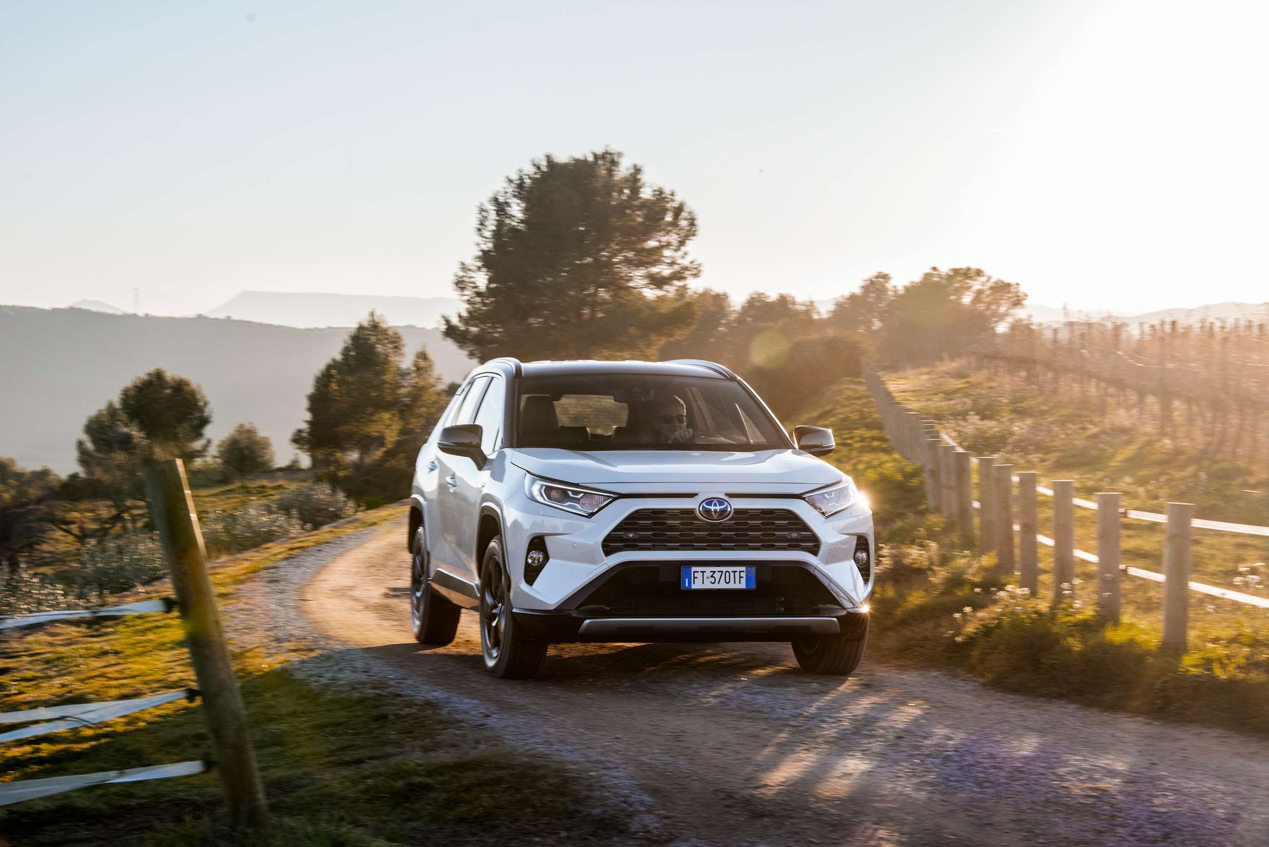 toyota-rav4-2019-off-road-goodwood-23012019.jpg