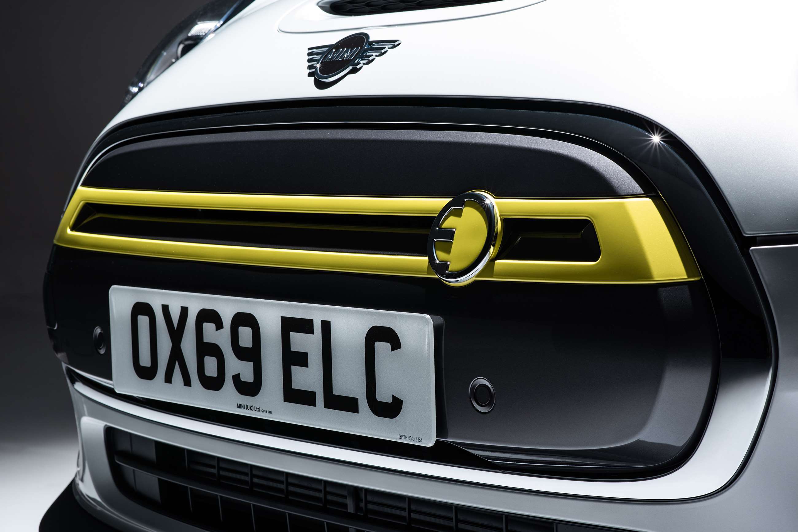 mini-electric-grille-goodwood-11072019.jpg