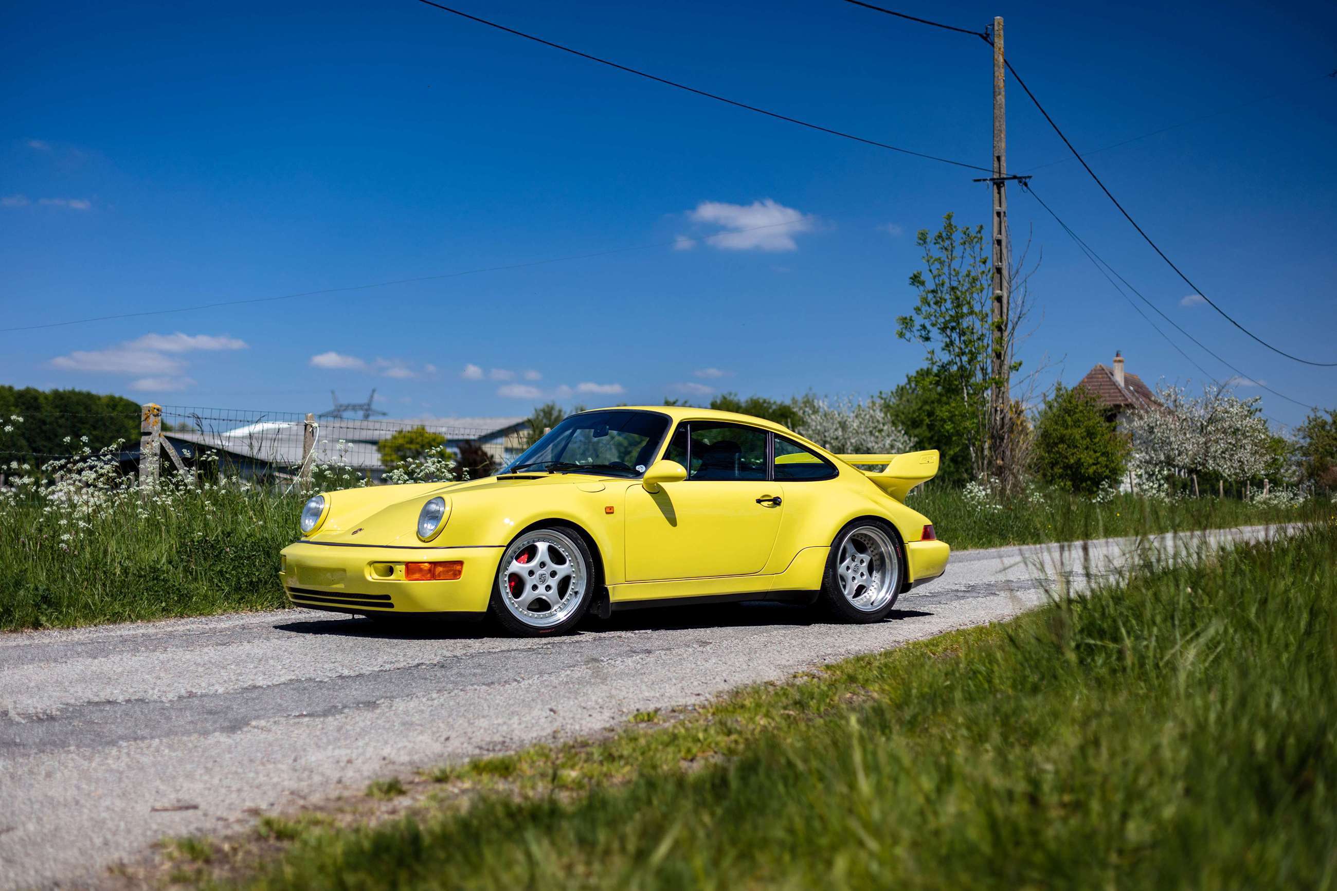 artcuiral-porsche-964-carrera-rs-3.8l-1993-goodwood-13062019.jpg