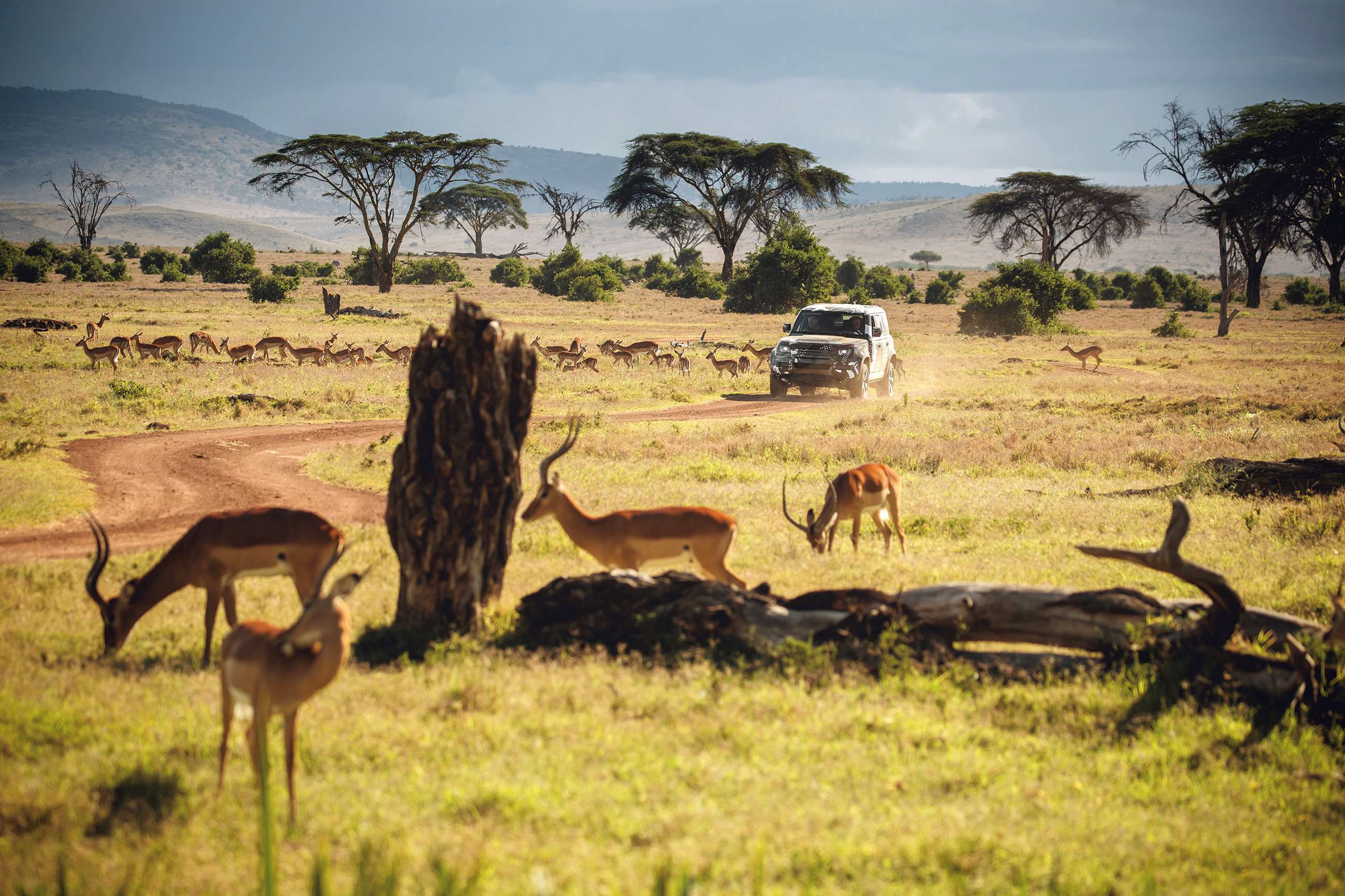 land-rover-defender-tusk-kenya060619011.jpg