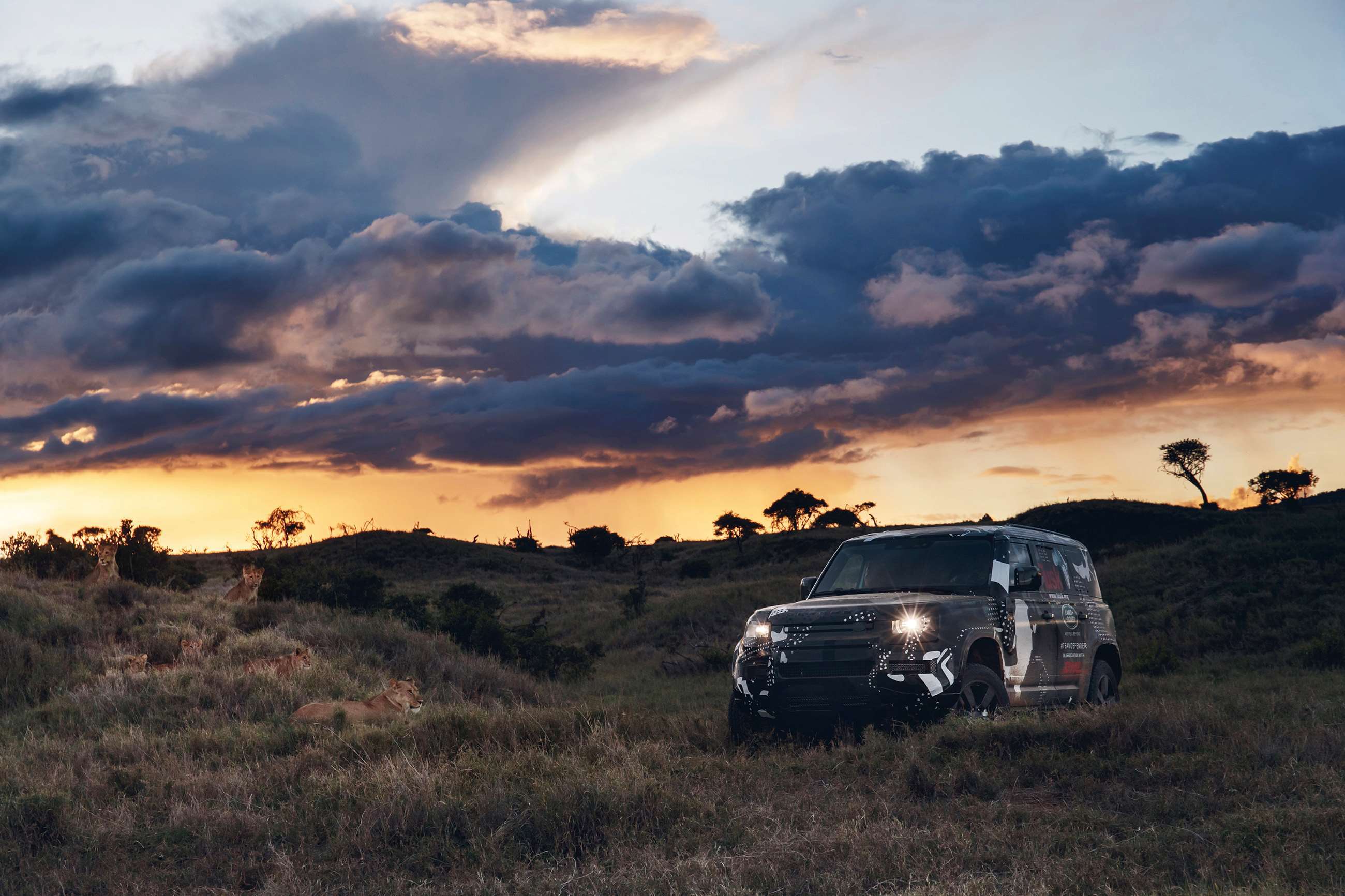 land-rover-defender-tusk-kenya06061902.jpg