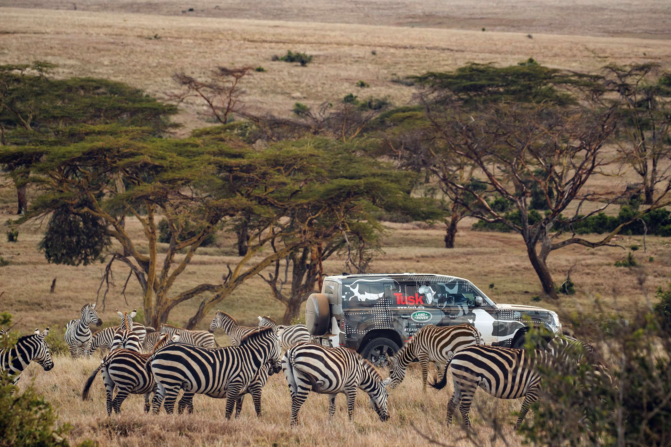 land-rover-defender-tusk-kenya060619021.jpg