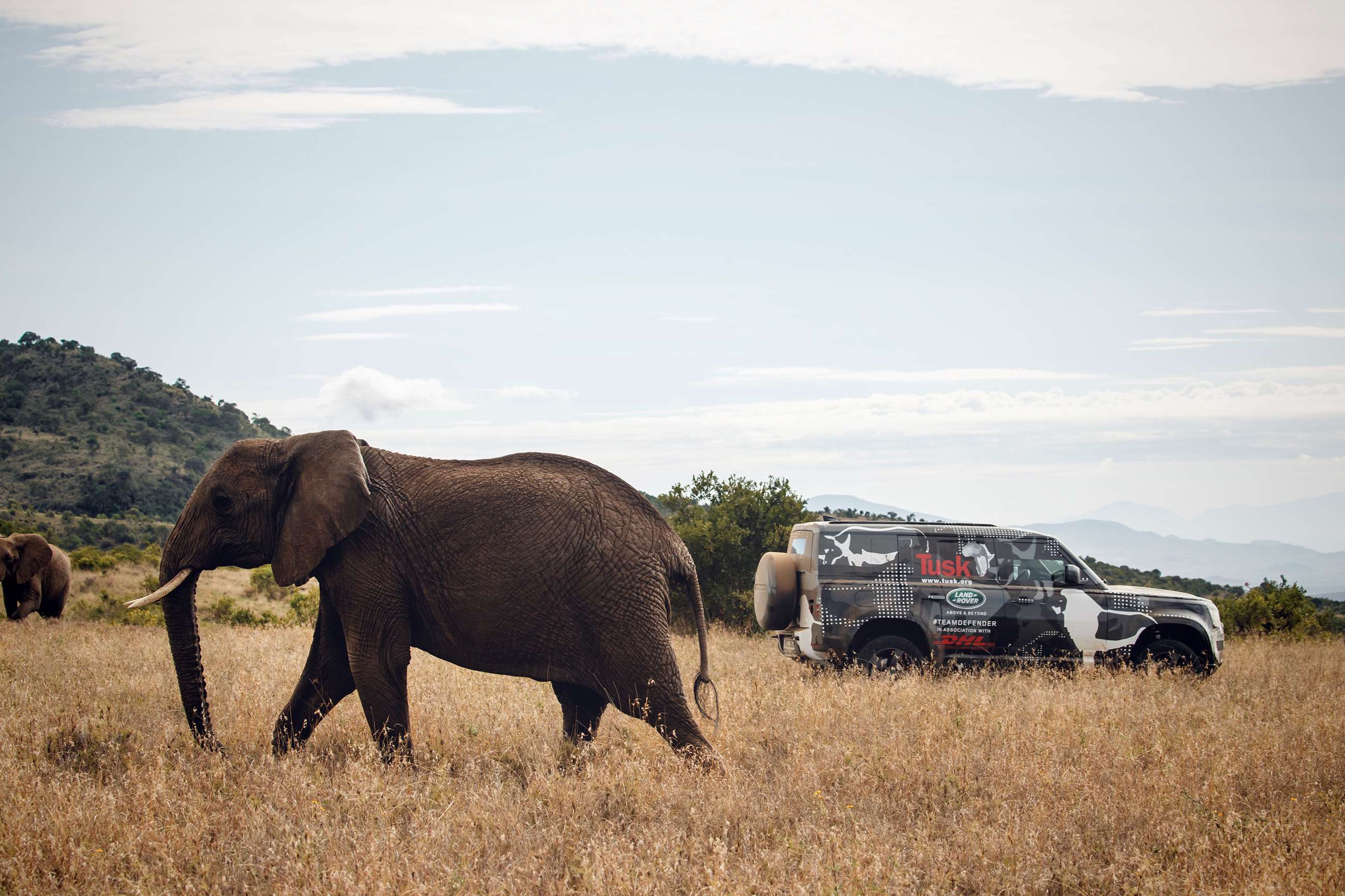 land-rover-defender-tusk-kenya060619031.jpg