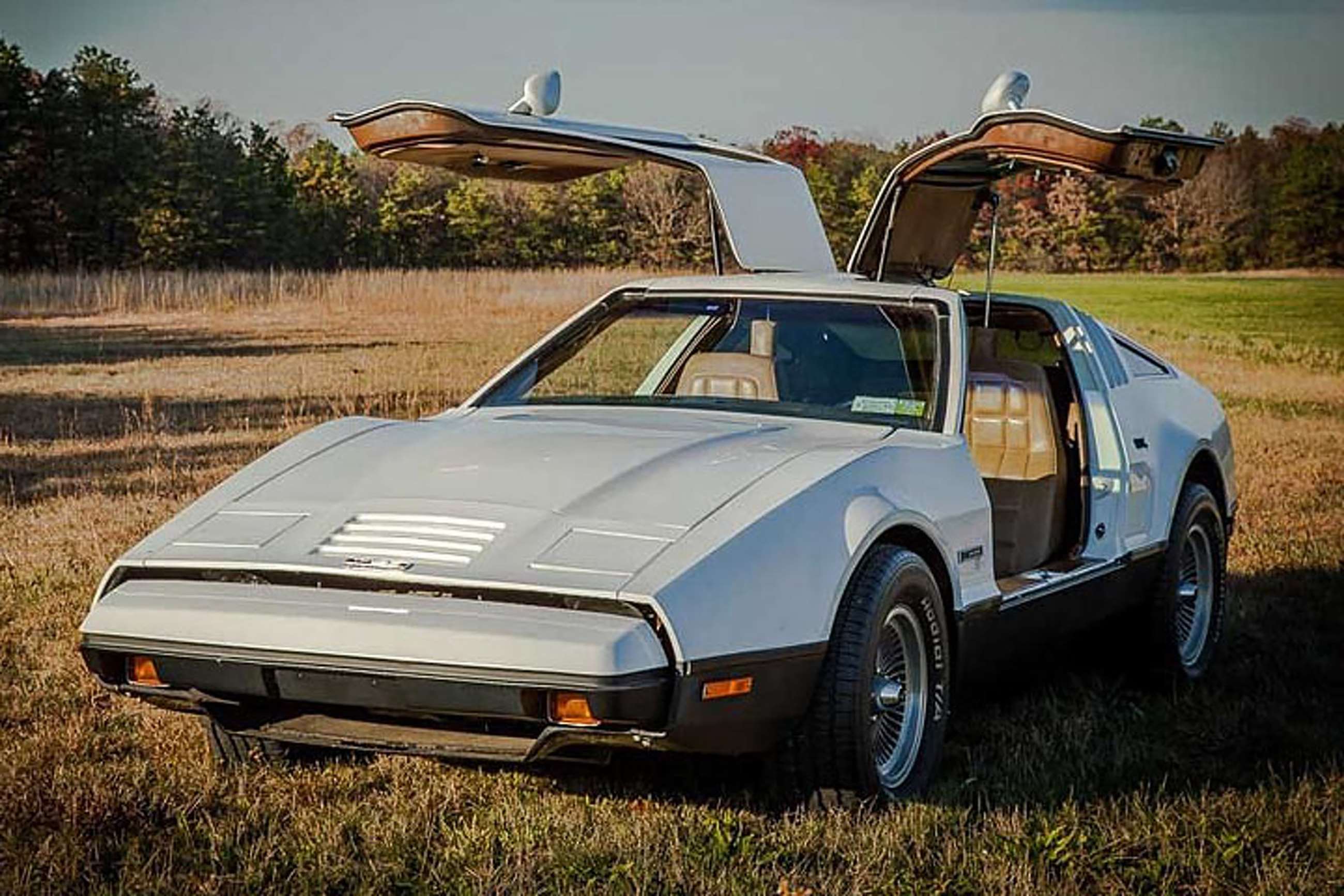 bricklin-sv-1-gullwing-doors.jpg