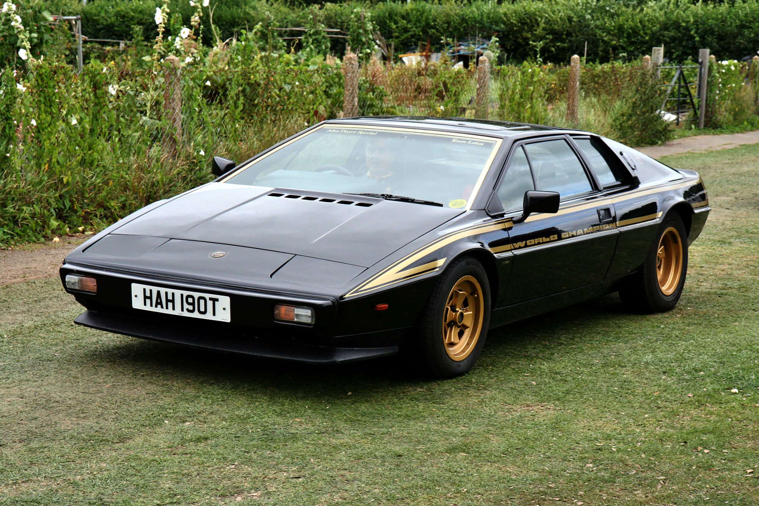 lotus-esprit-s2-f1-world-championship-special-goodwood-22102021.jpg