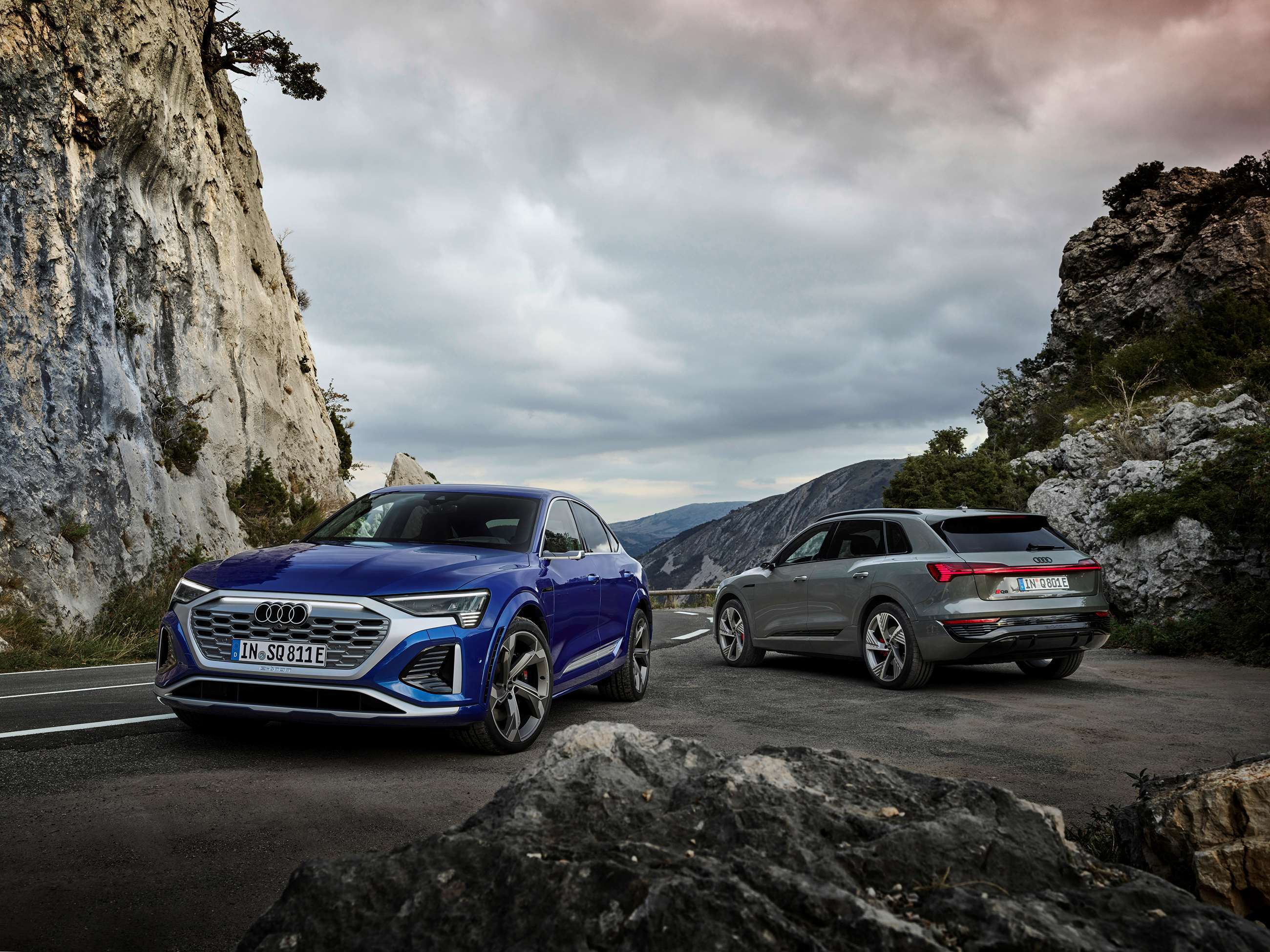 audi-q8-sq8-e-tron-05.jpg