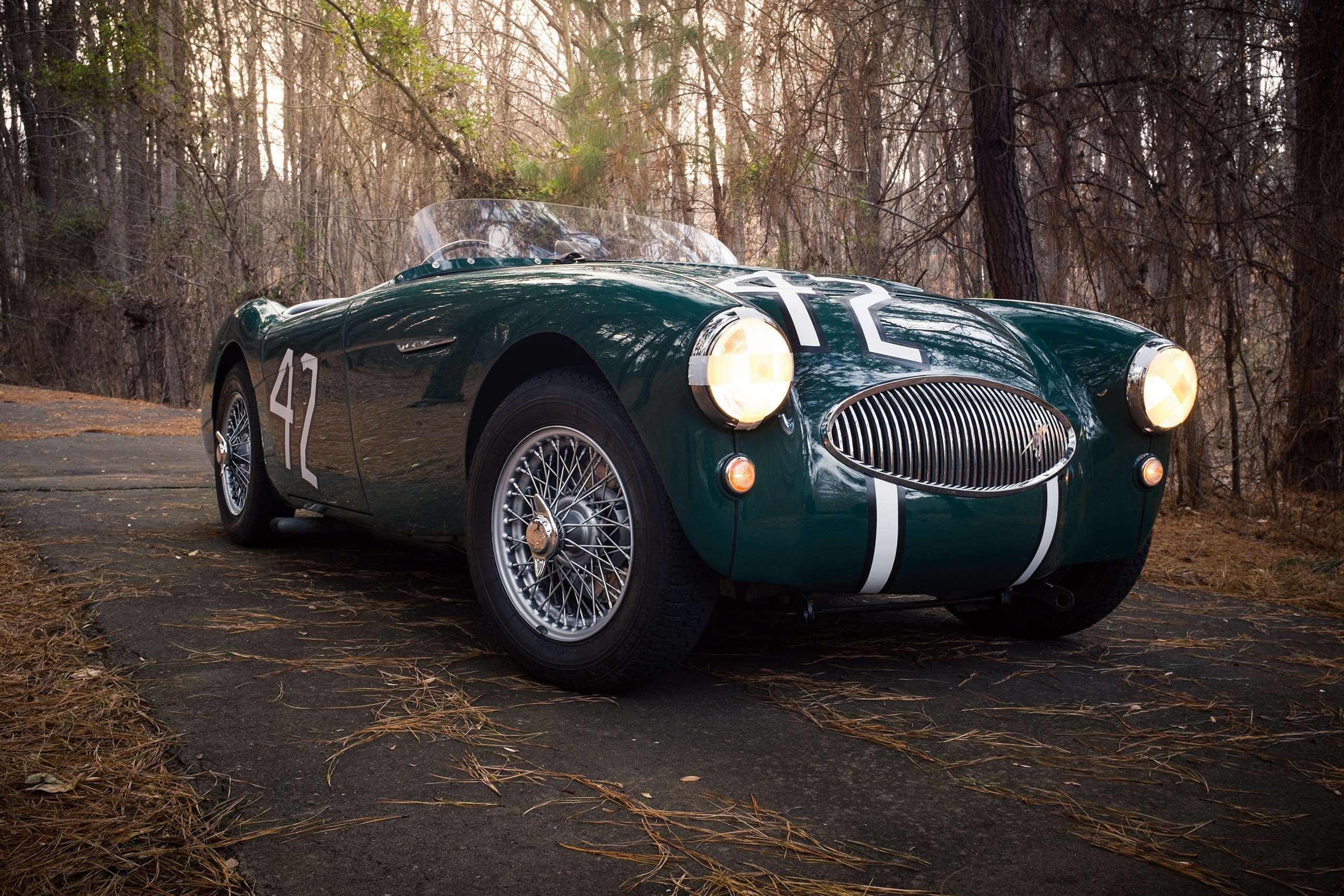 austin-healey-tfif-03.jpg