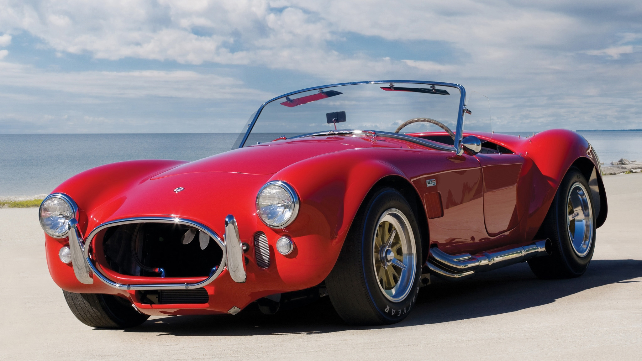 AC-Cobra copy.jpg