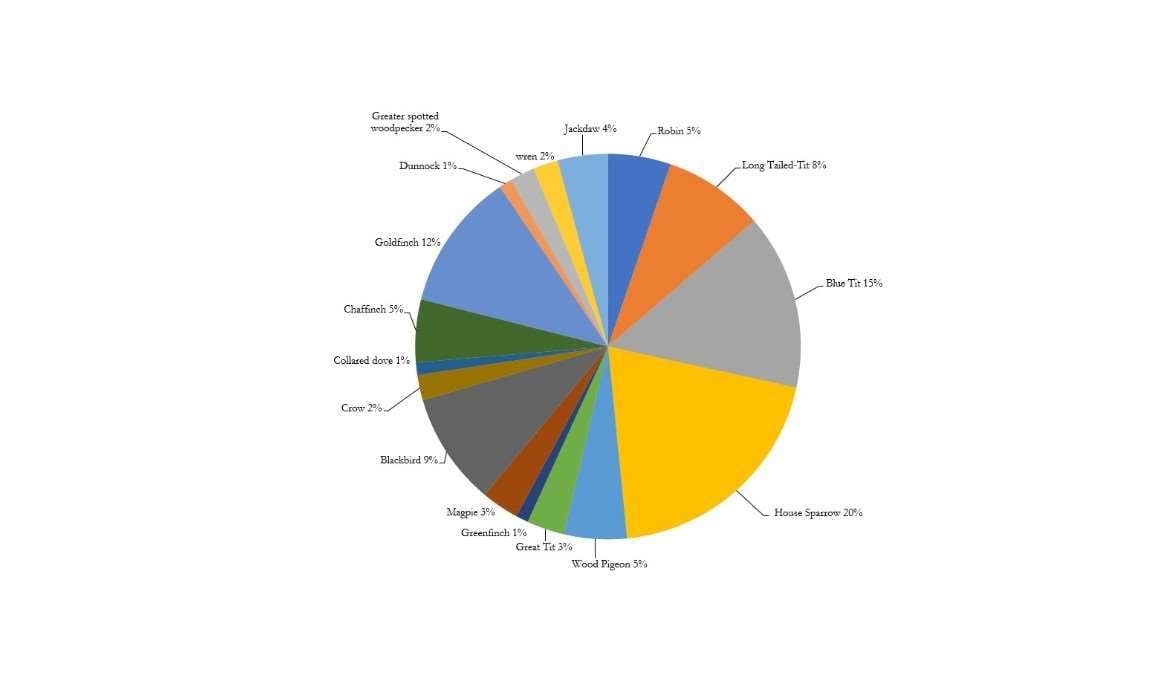 rsbp-bird-survey-2023-.jpg