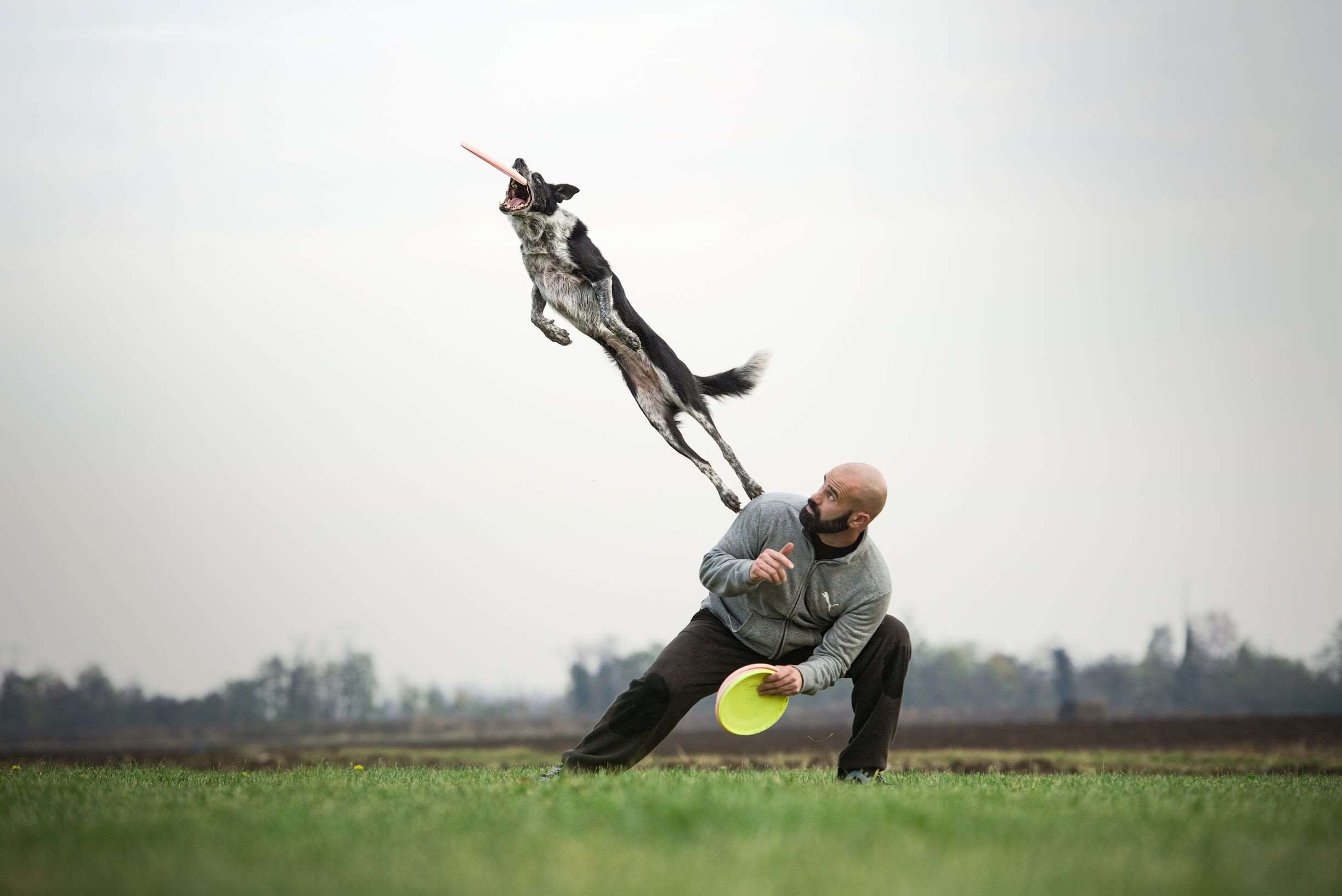 Disc Dog champion, Adrian Stocia 