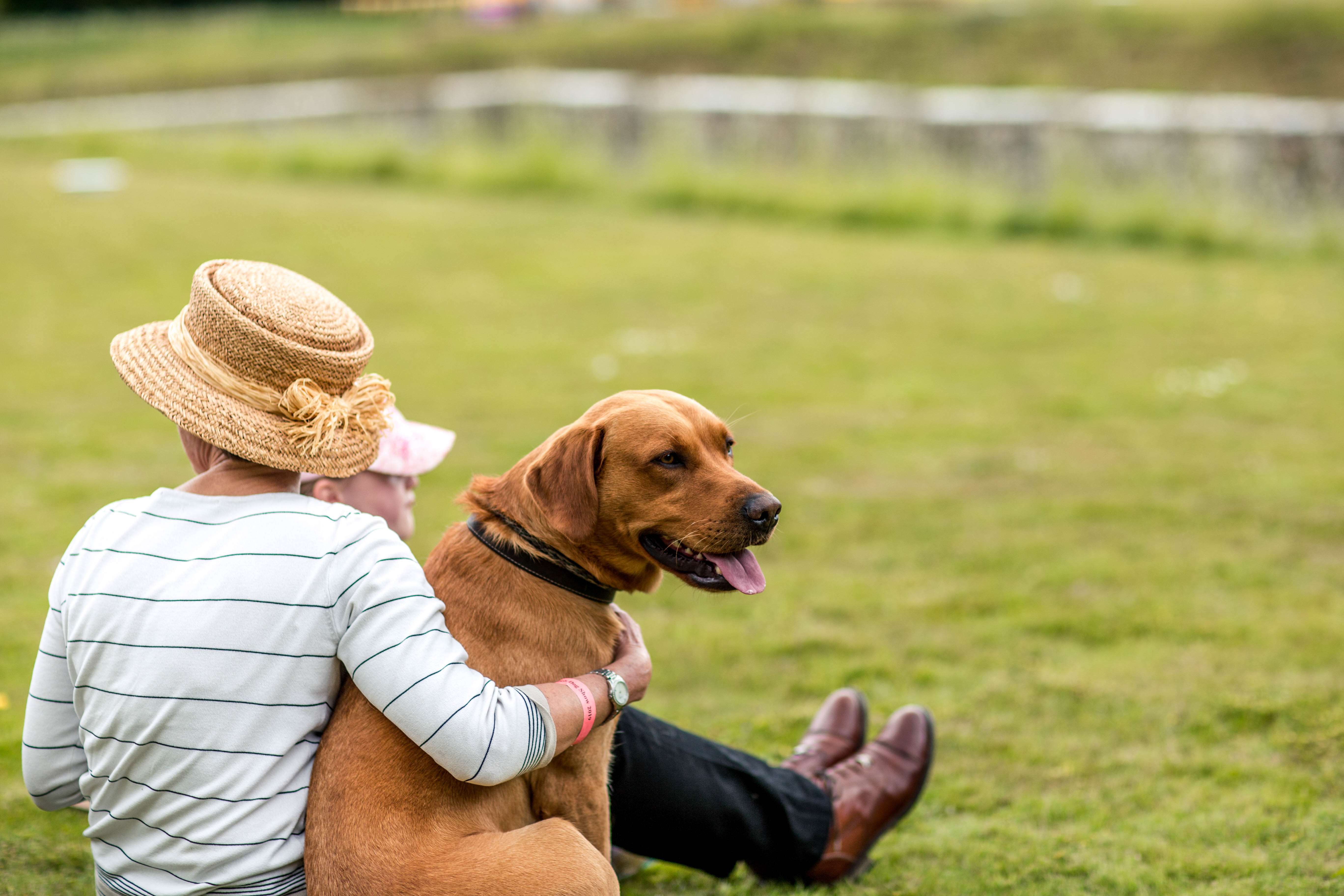 kennels_dog_show_nicolehains_016.jpg