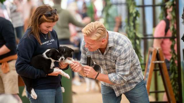 dr-scott-miller-sheepdog-puppies-goodwoof.jpg