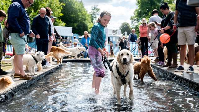 fido-lido-dog-swimming-pool-goodwoof.jpg