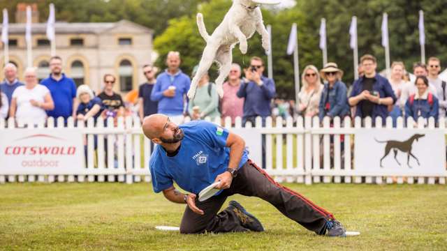 goodwoof-disc-dog-frisbee-adrian.jpg