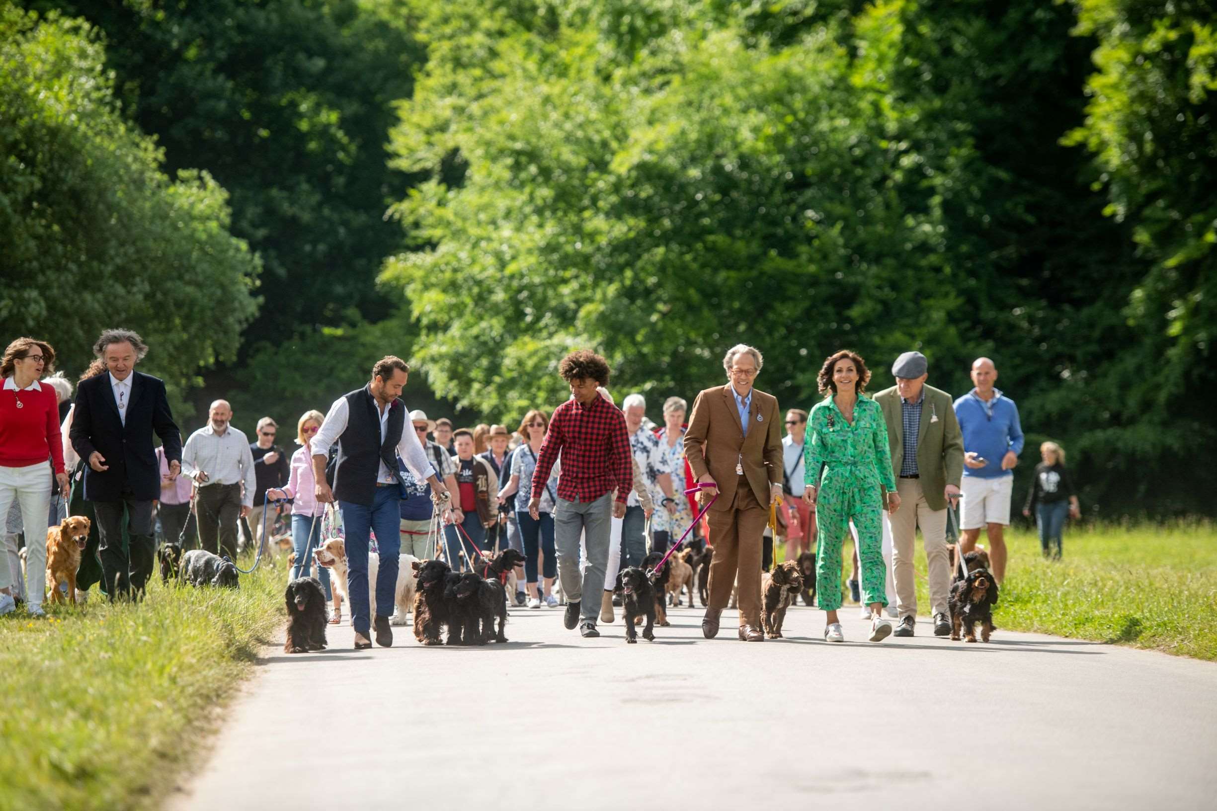 goodwoof-spaniel-parade-saturday.jpg