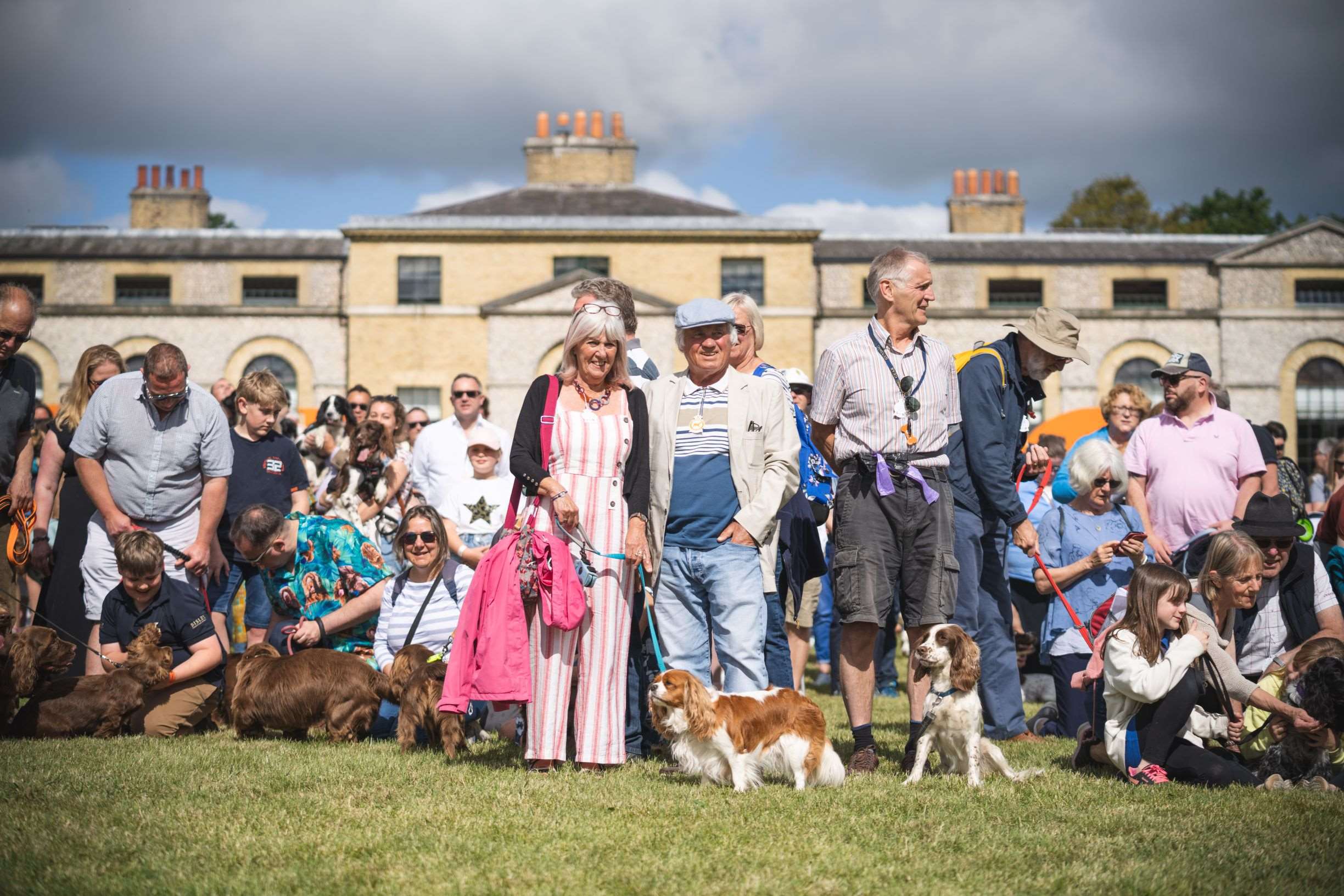 group-spaniel-celebration-the-kennels-goodwoof.jpg