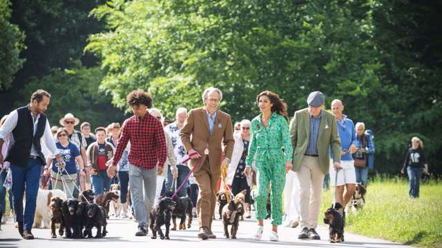 spaniel-parade-celebration-goodwoof.jpg