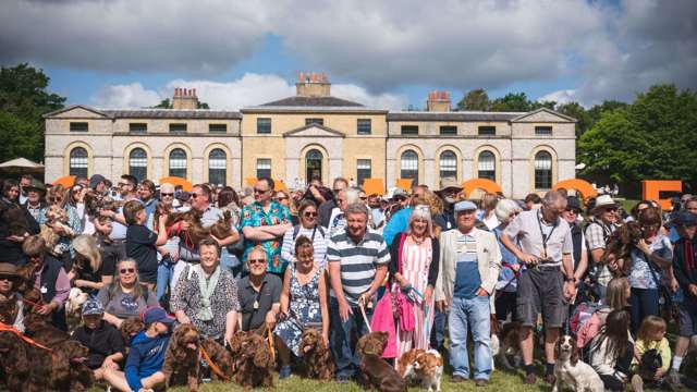 spaniel-parade-participants-goodwoof.jpg