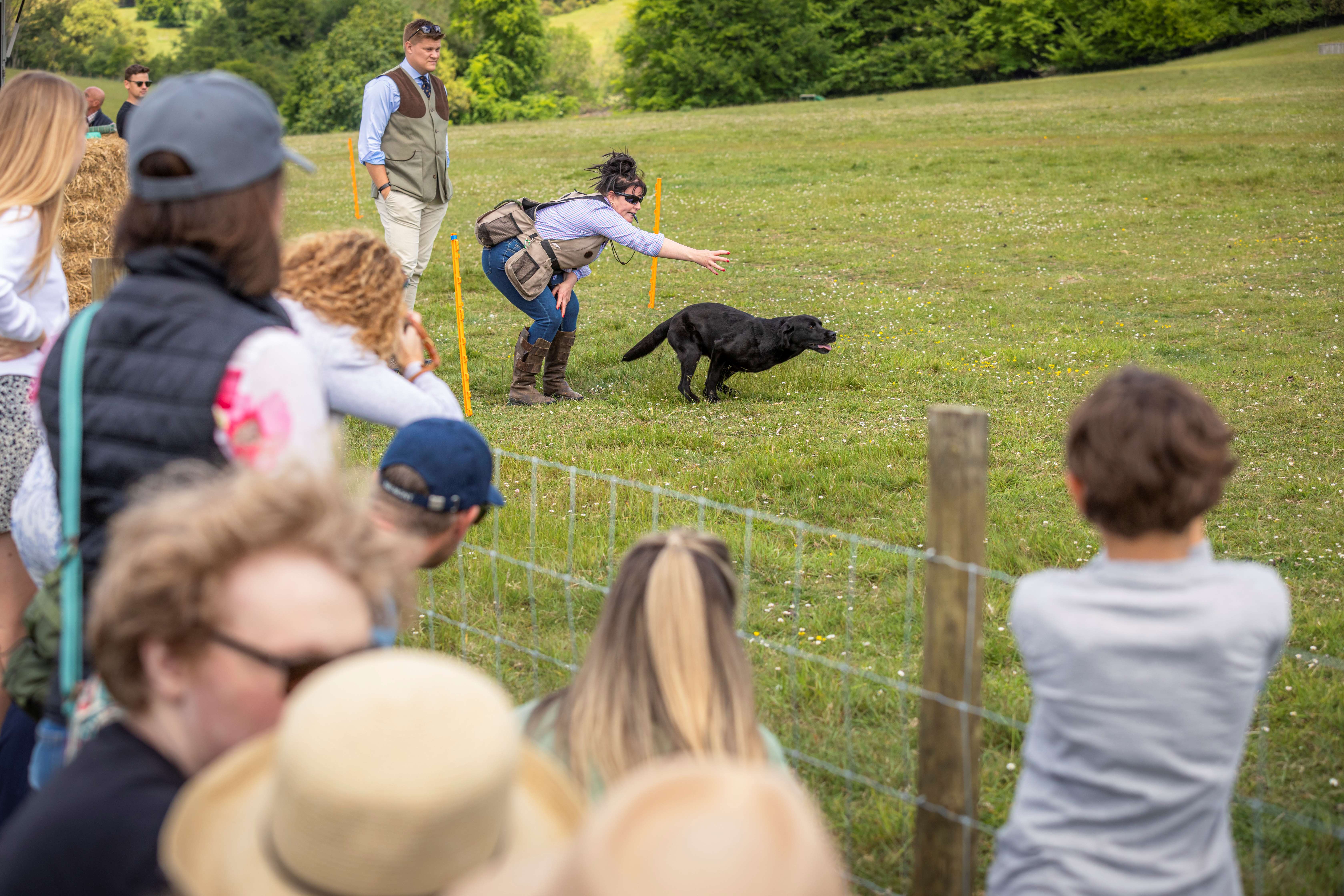 Gundog trials were a huge crowd pleaser