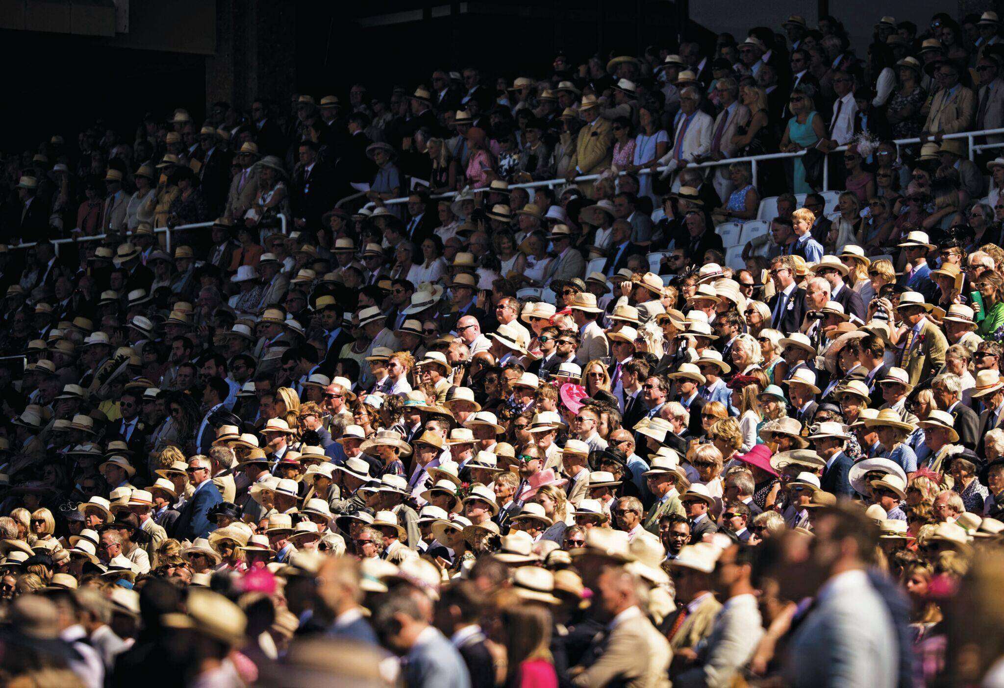 panama-hats.jpg