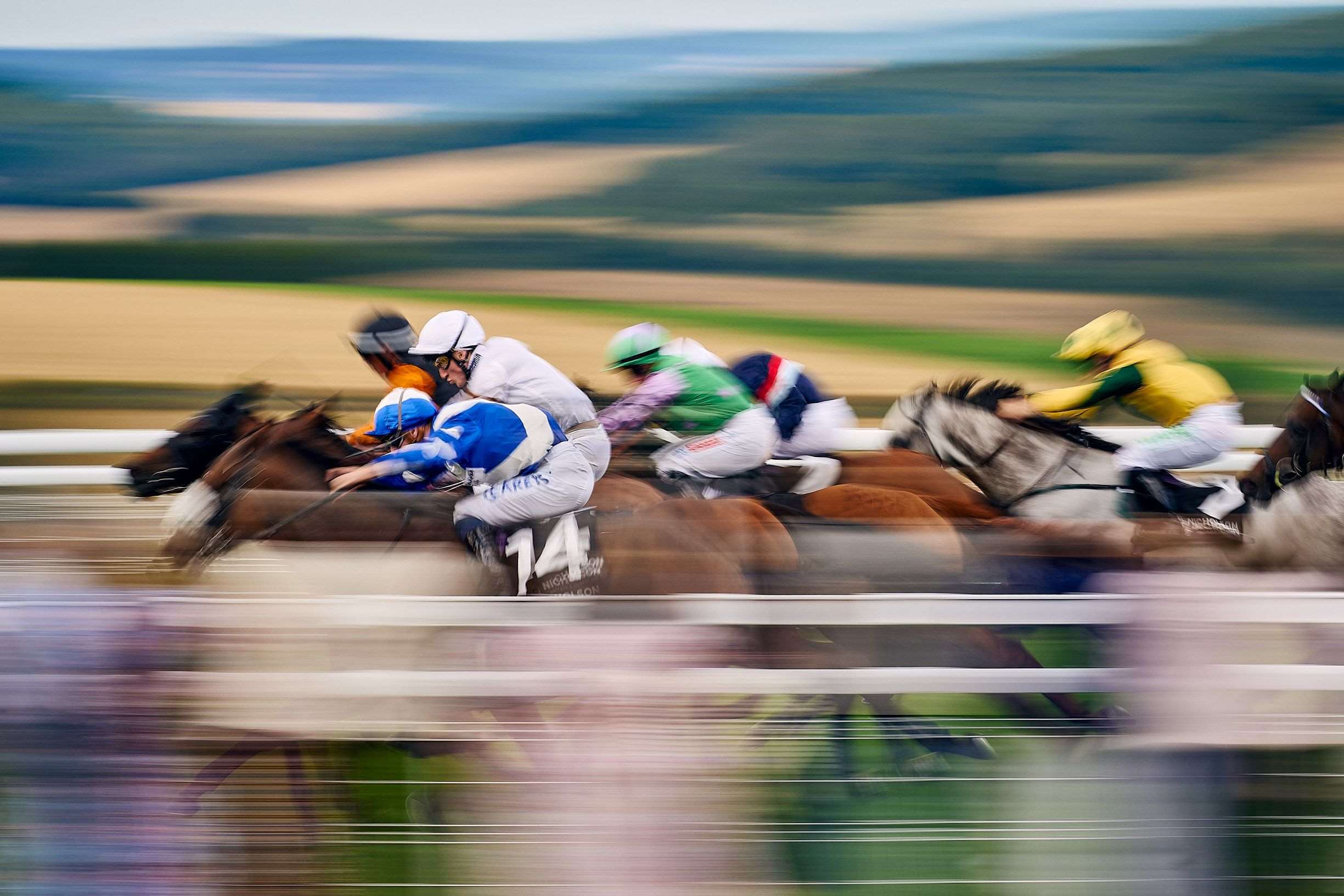 horses-racing-at-qgf-nicholson-gin-stakes.jpg