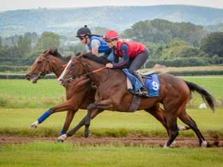 goodwood-vision-american-kestrel-upsides---13-9-23-1.jpg