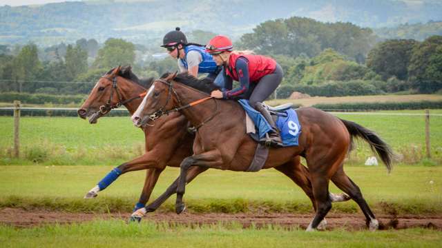 goodwood-vision-american-kestrel-upsides---13-9-23-1.jpg