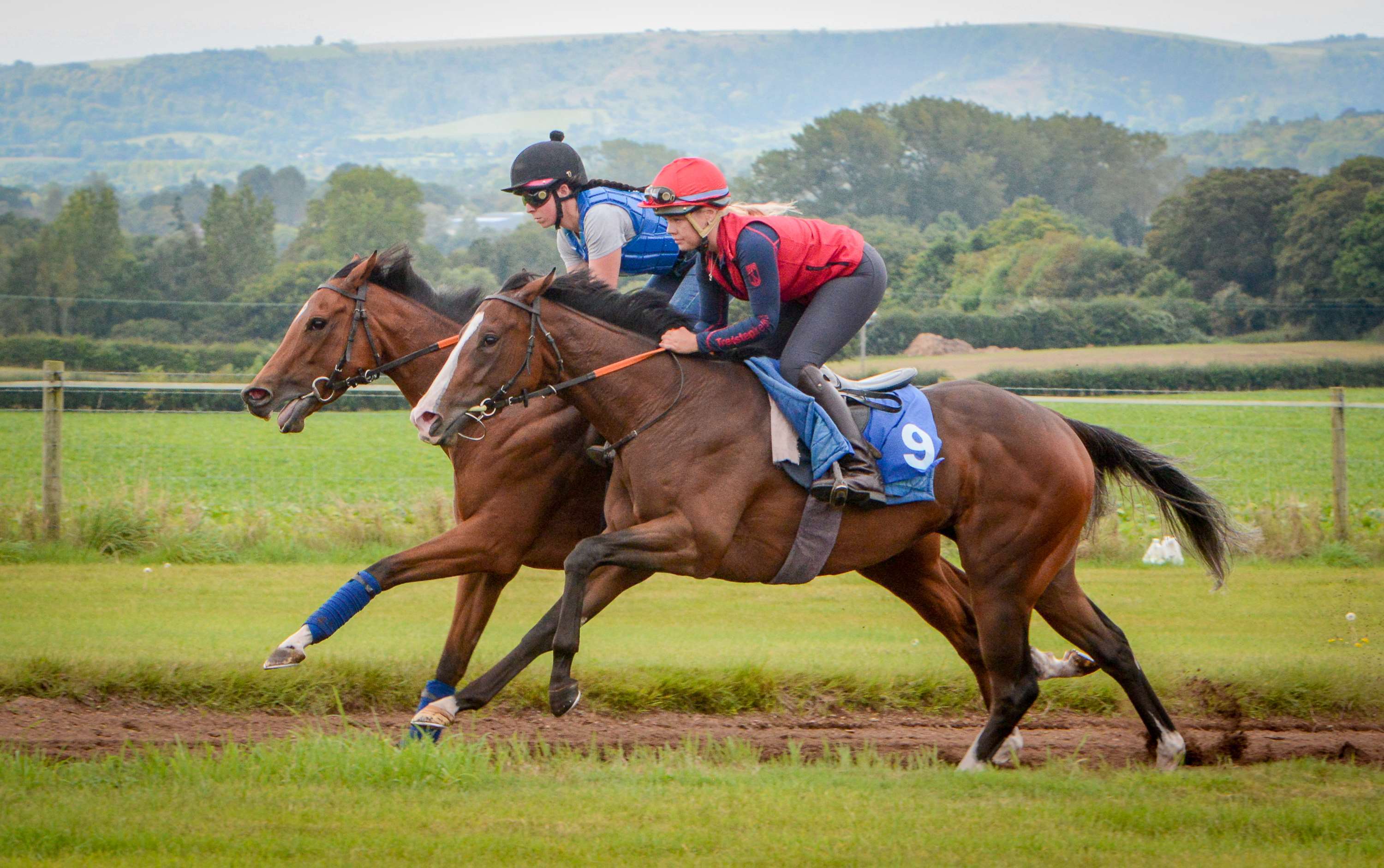 goodwood-vision-american-kestrel-upsides---13-9-23-1.jpg