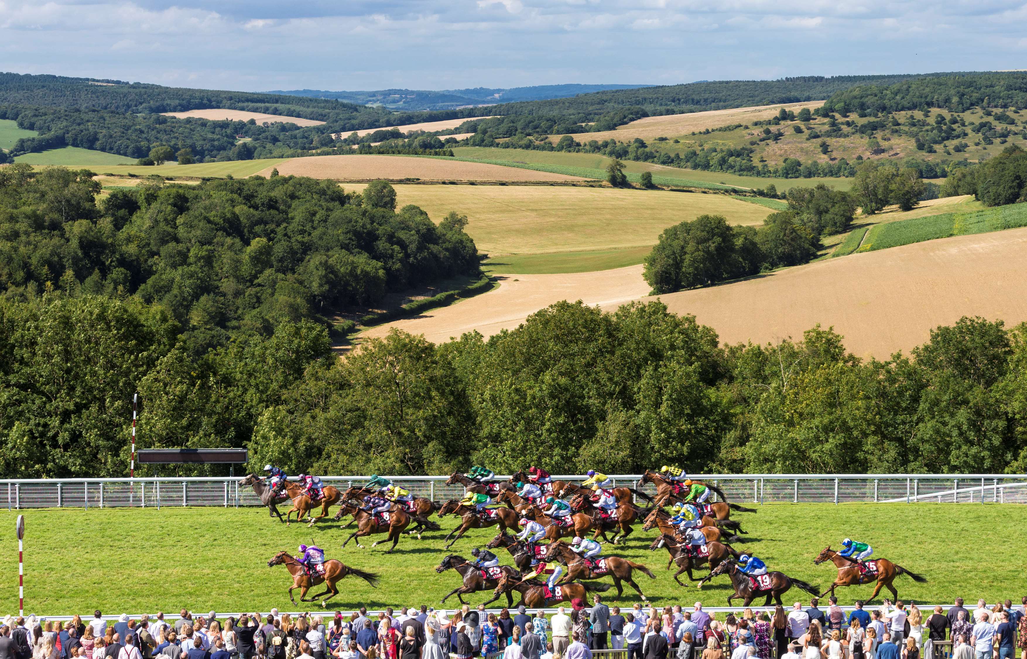 goodwood-racecourse-.jpg