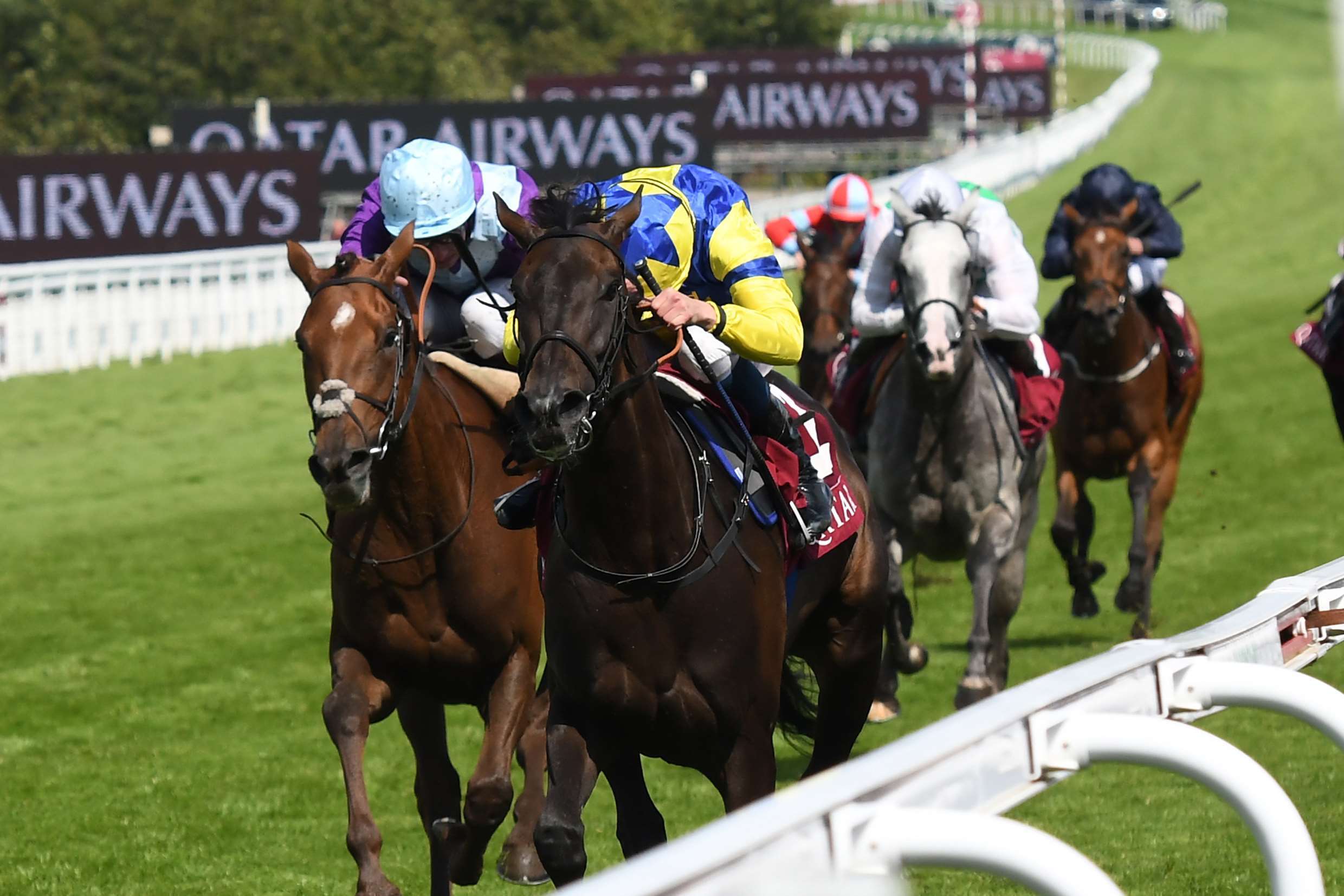 Wonderful Tonight wins the Qatar Lillie Langtry Stakes