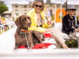 Goodwoof guests 2022. Ph. by Chris Ison.
