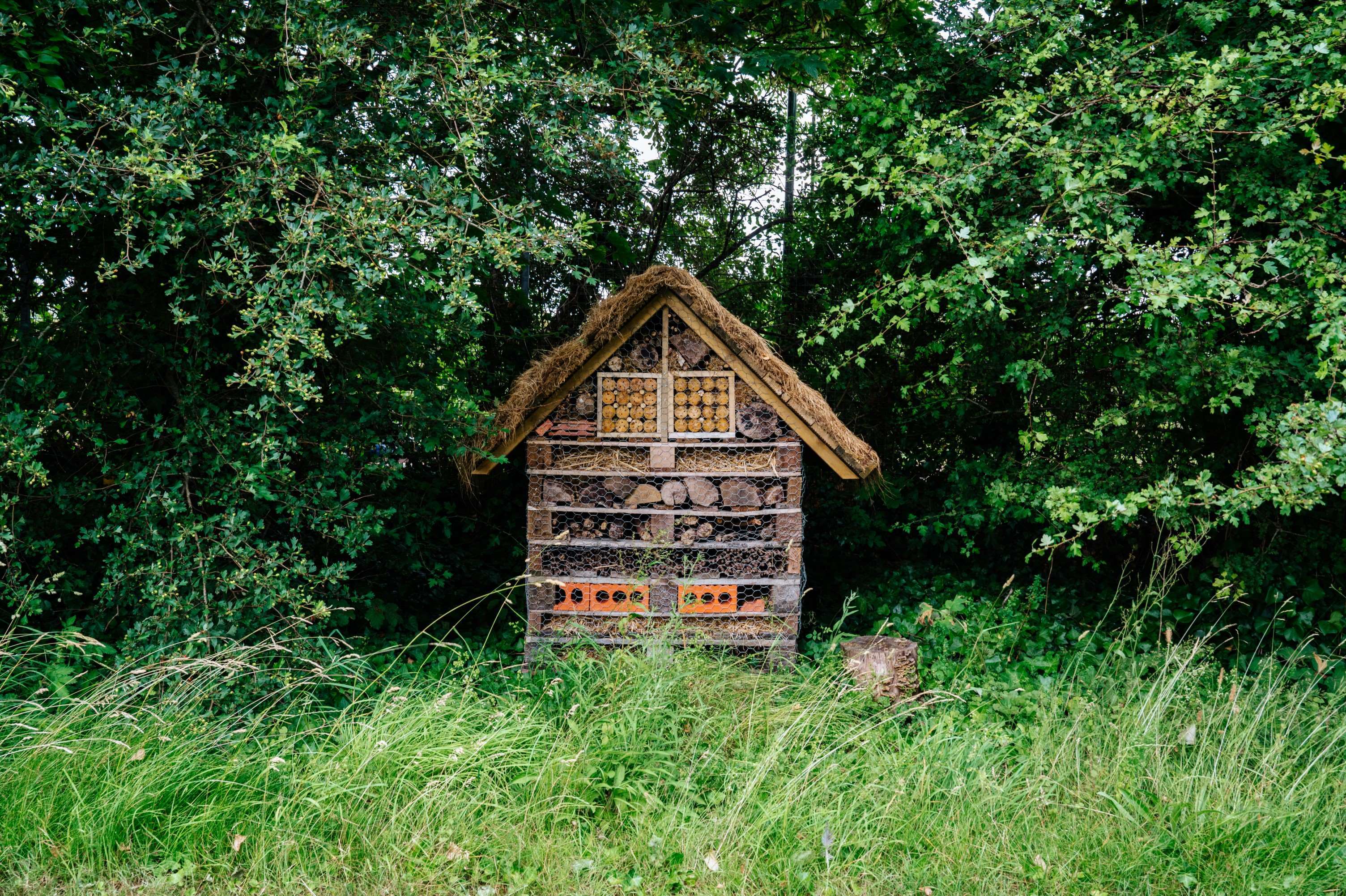 goodwoodbughotel_jaysonfong_017.jpg