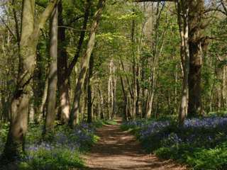 nature-trail.jpg