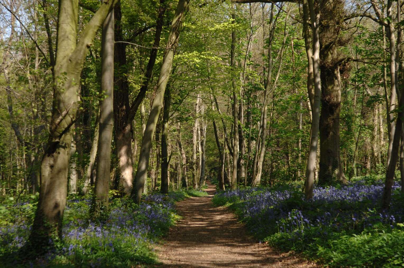 nature-trail.jpg