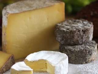 mdgoodwoodcheese32-square.jpg